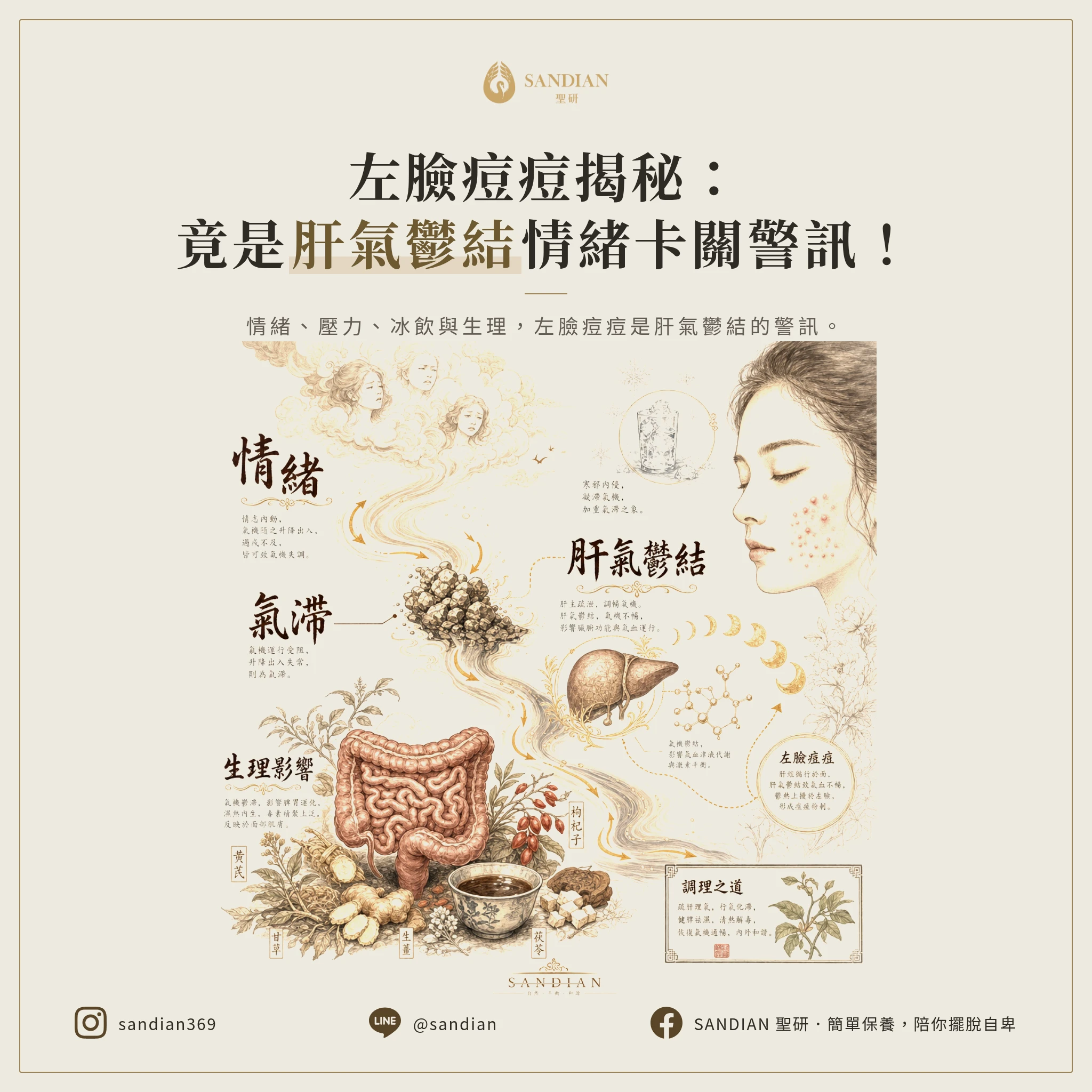 二、左臉痘痘=肝氣鬱結,到底是什麼意思?