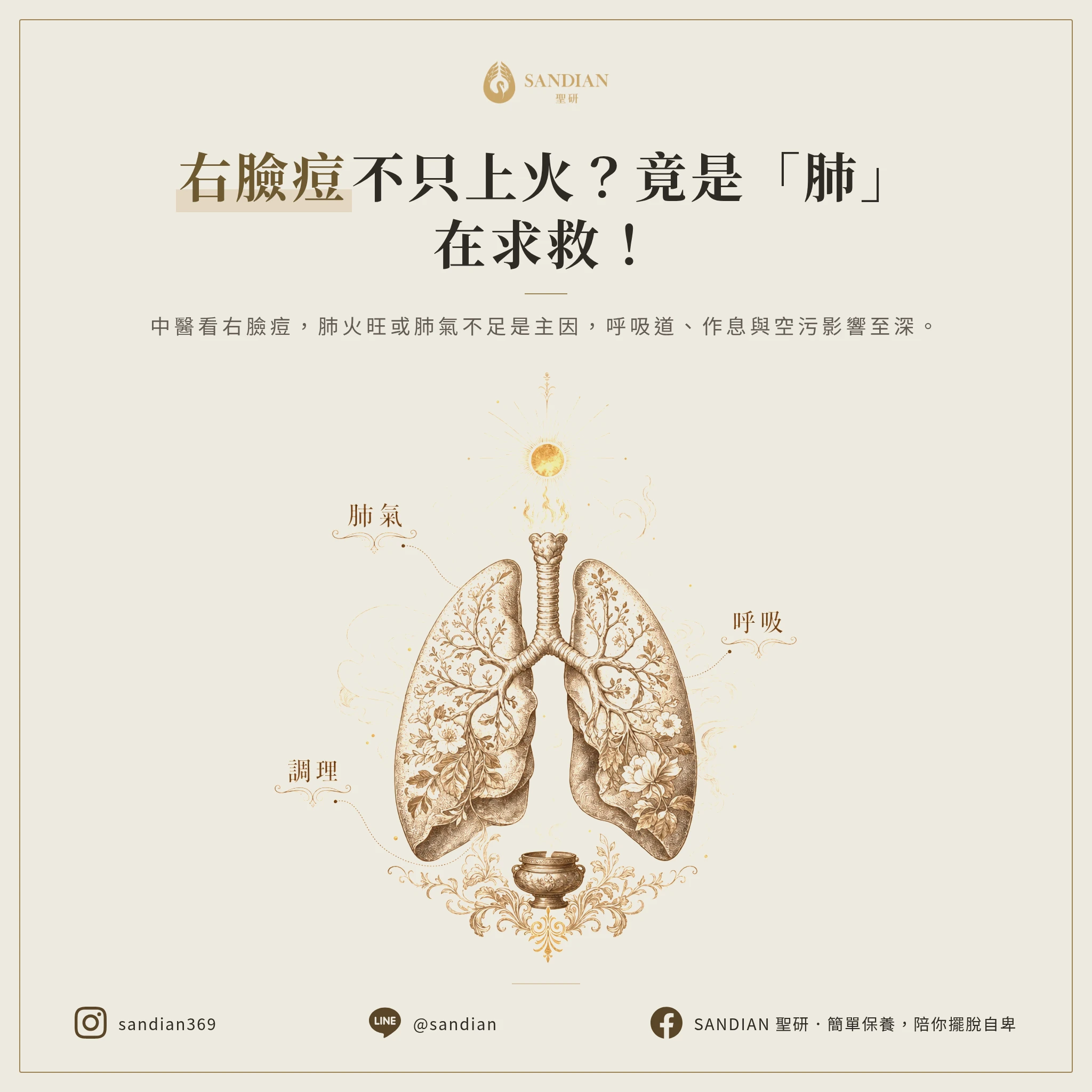 三、右臉痘痘=肺火旺,跟呼吸道有什麼關係?