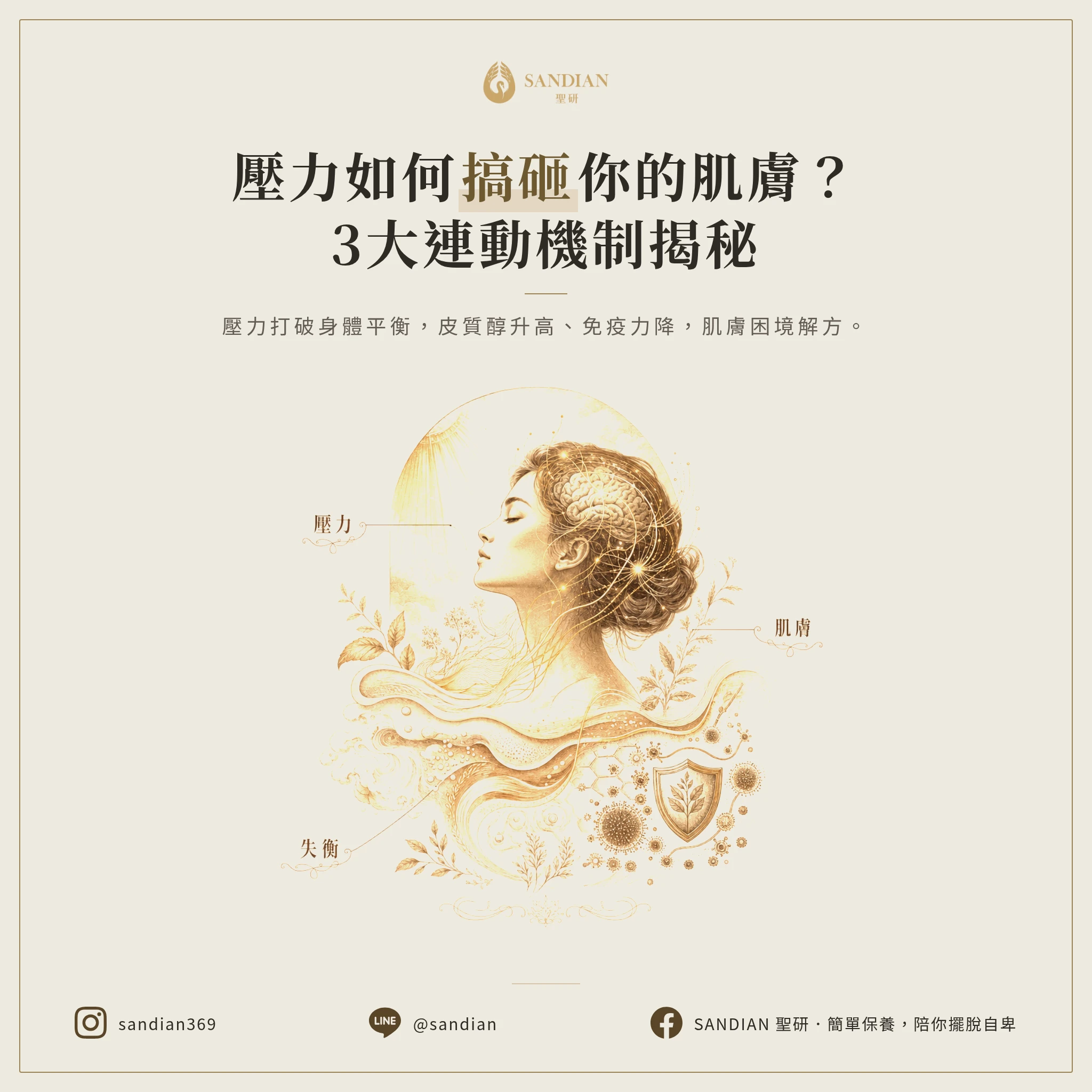 一、壓力與皮膚的 3 大連動機制