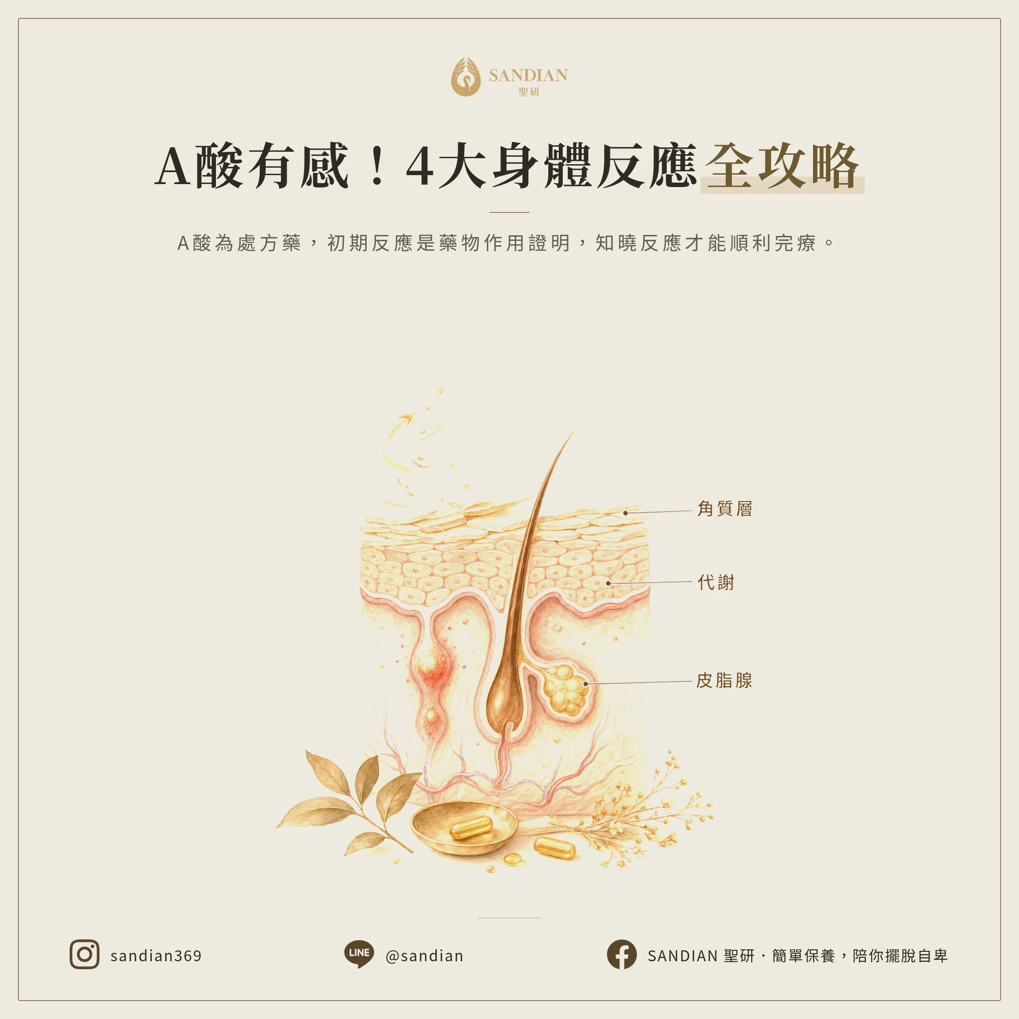 一、4 個口服A酸最常見的身體反應