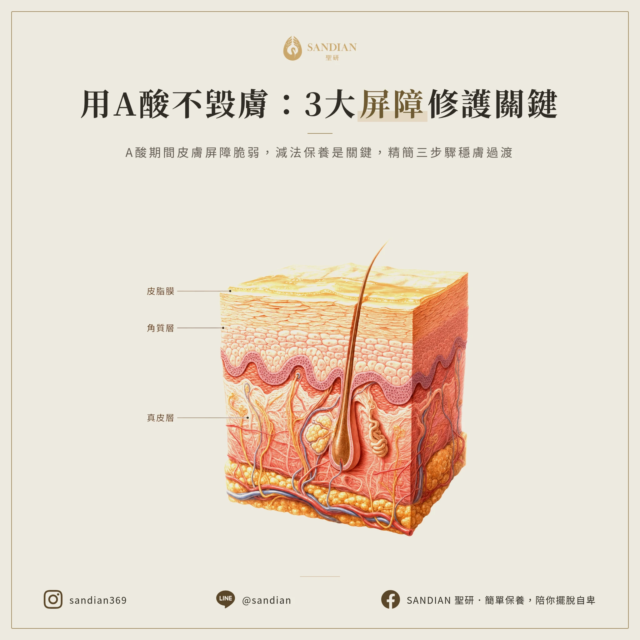 二、3 個用藥期間的肌膚屏障修護重點