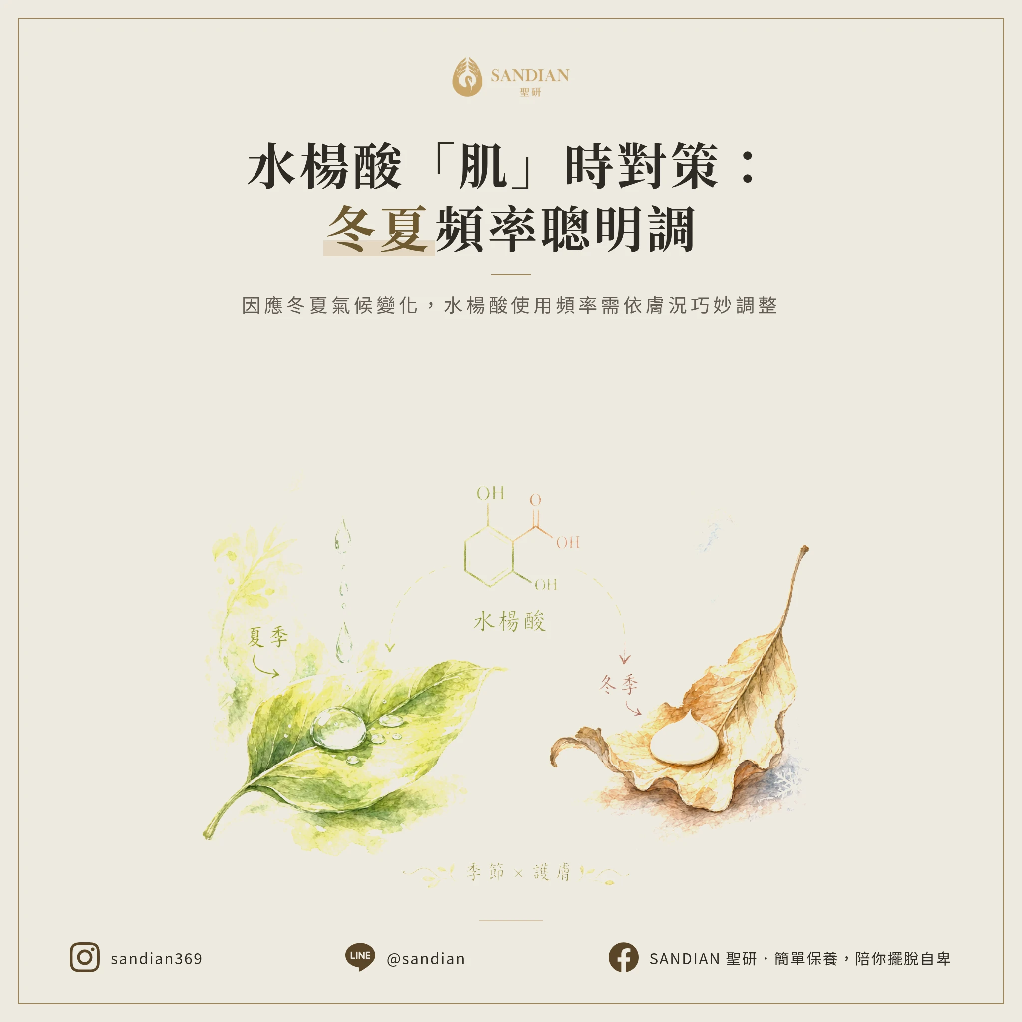 水楊酸白天可以使用嗎?防曬與注意事項