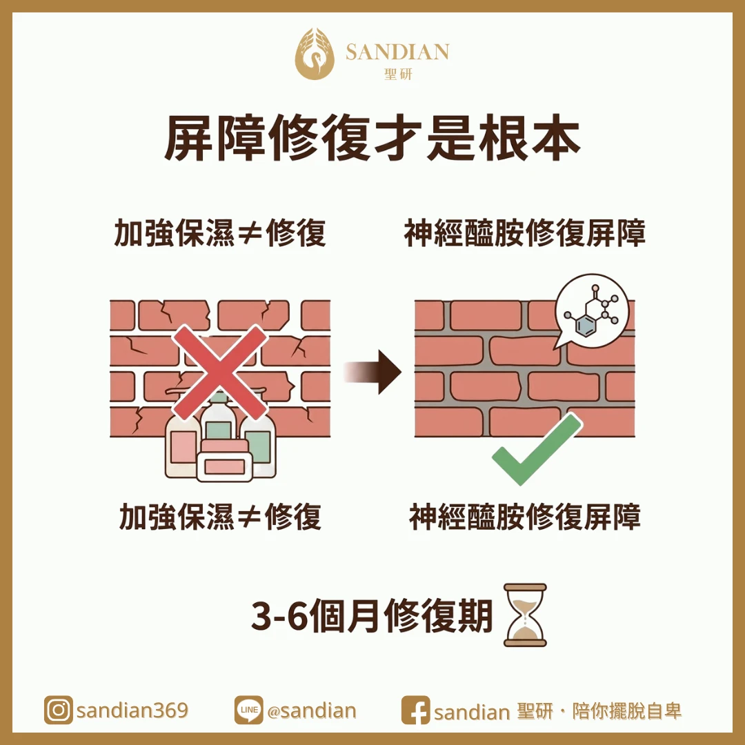 一、第 1 個關鍵:屏障修復才是根本,不是加強保濕
