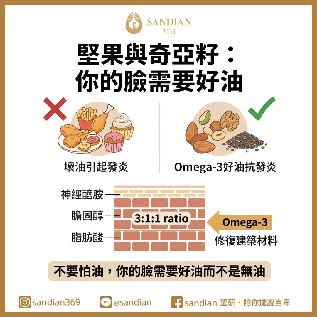 三、堅果與奇亞籽：你的臉需要好油