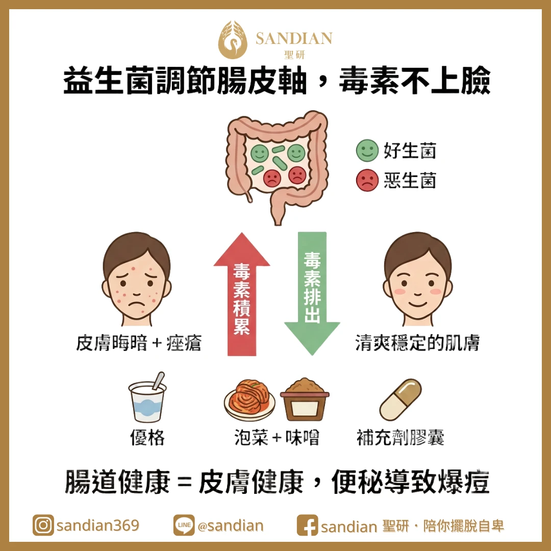 五、益生菌調節腸皮軸，毒素不上臉
