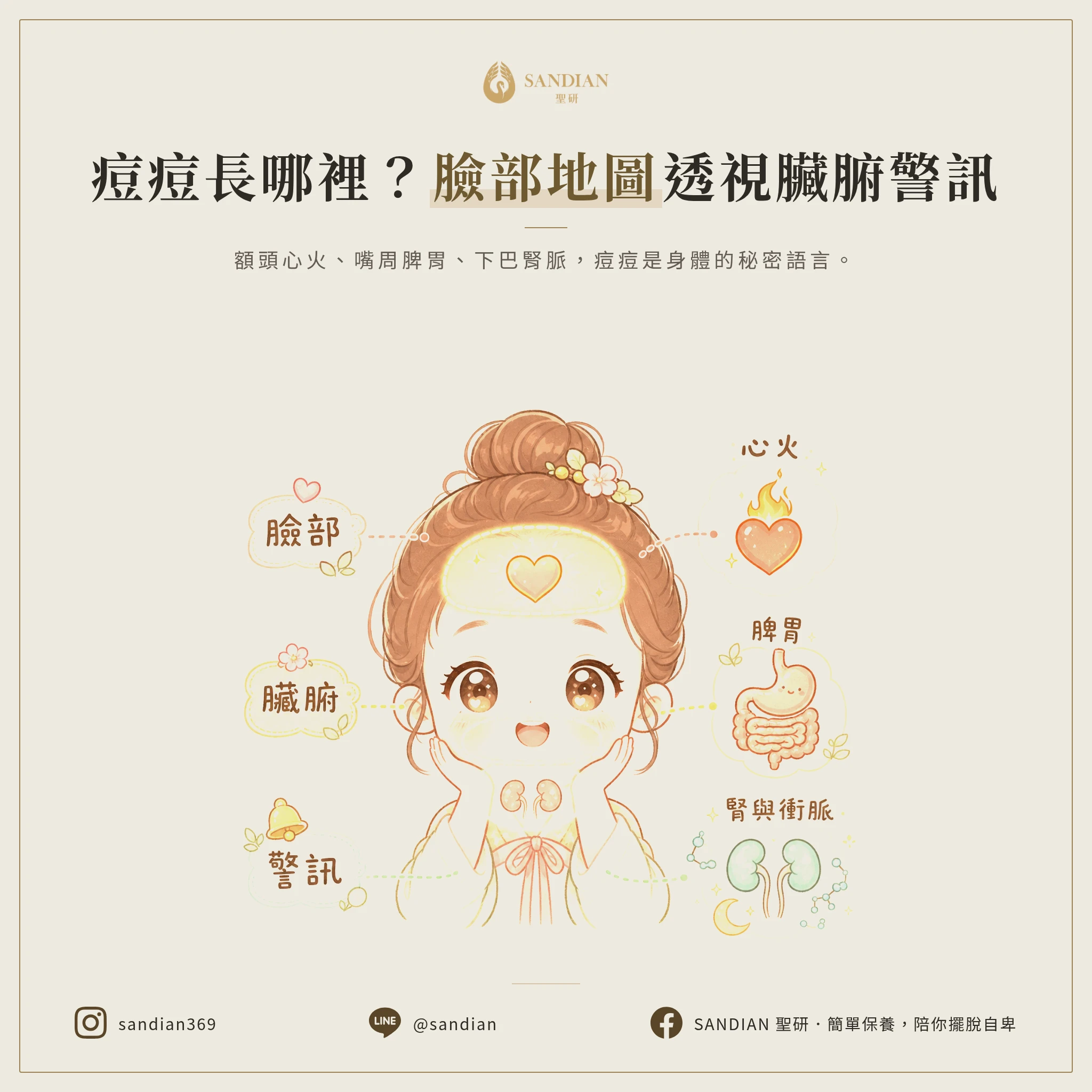 3 大痘痘位置對應的臟腑警訊