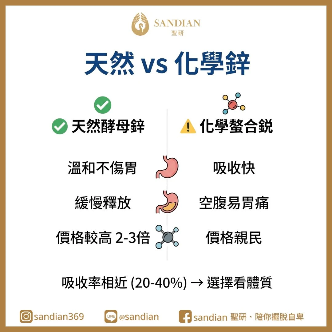 一、天然酵母鋅 vs 化學螯合鋅,到底差在哪?