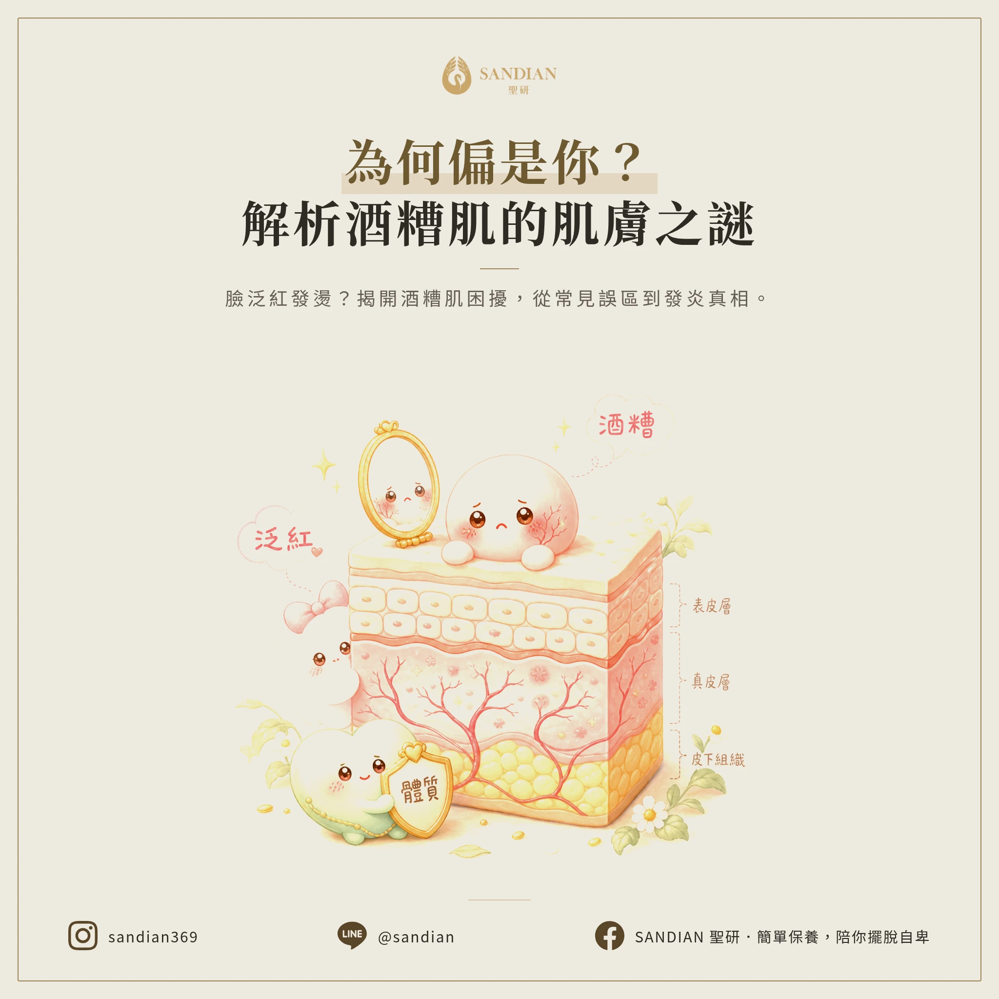 酒糟肌到底常不常見?為什麼是你?