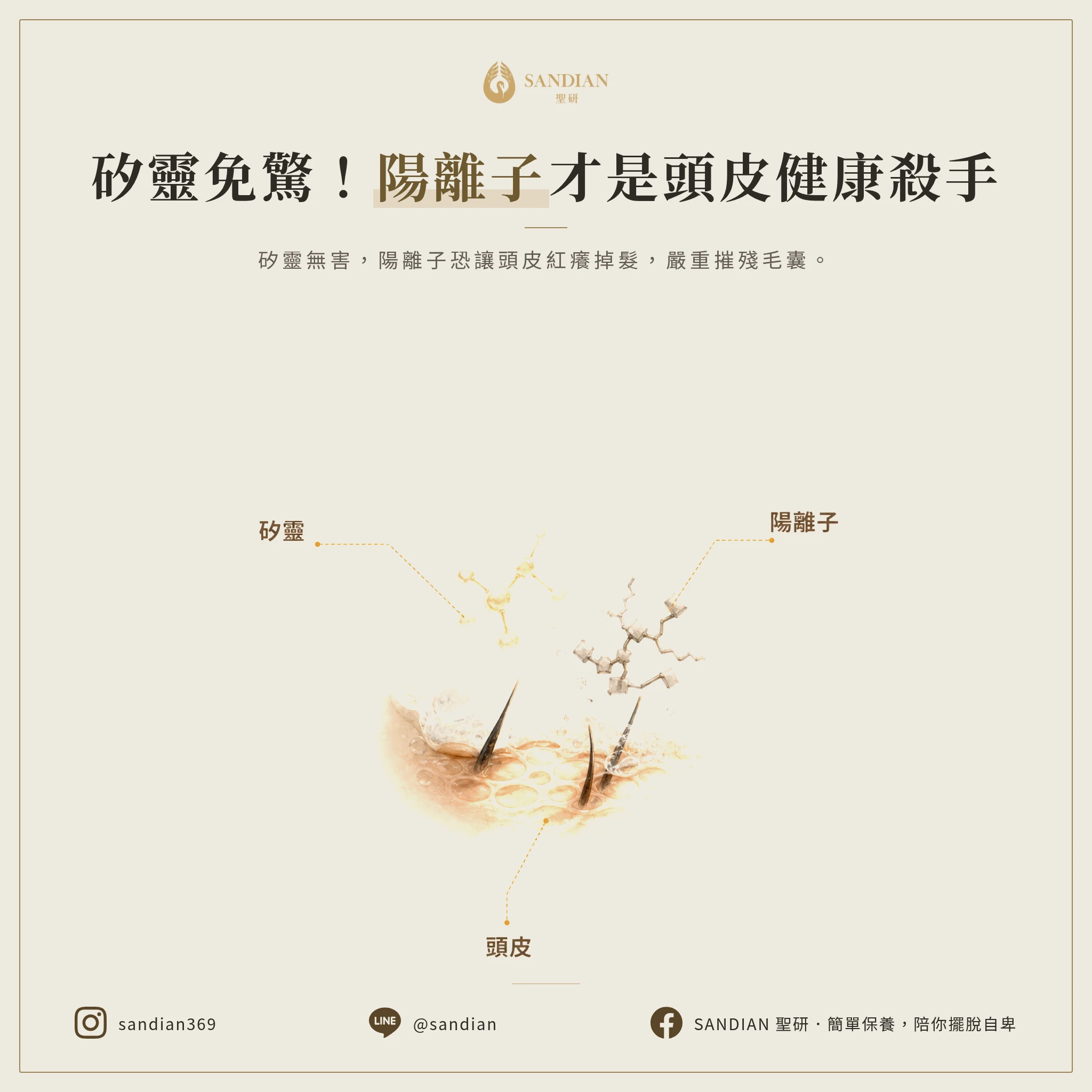 洗髮精成分到底該怎麼選?矽靈不是問題,陽離子才是