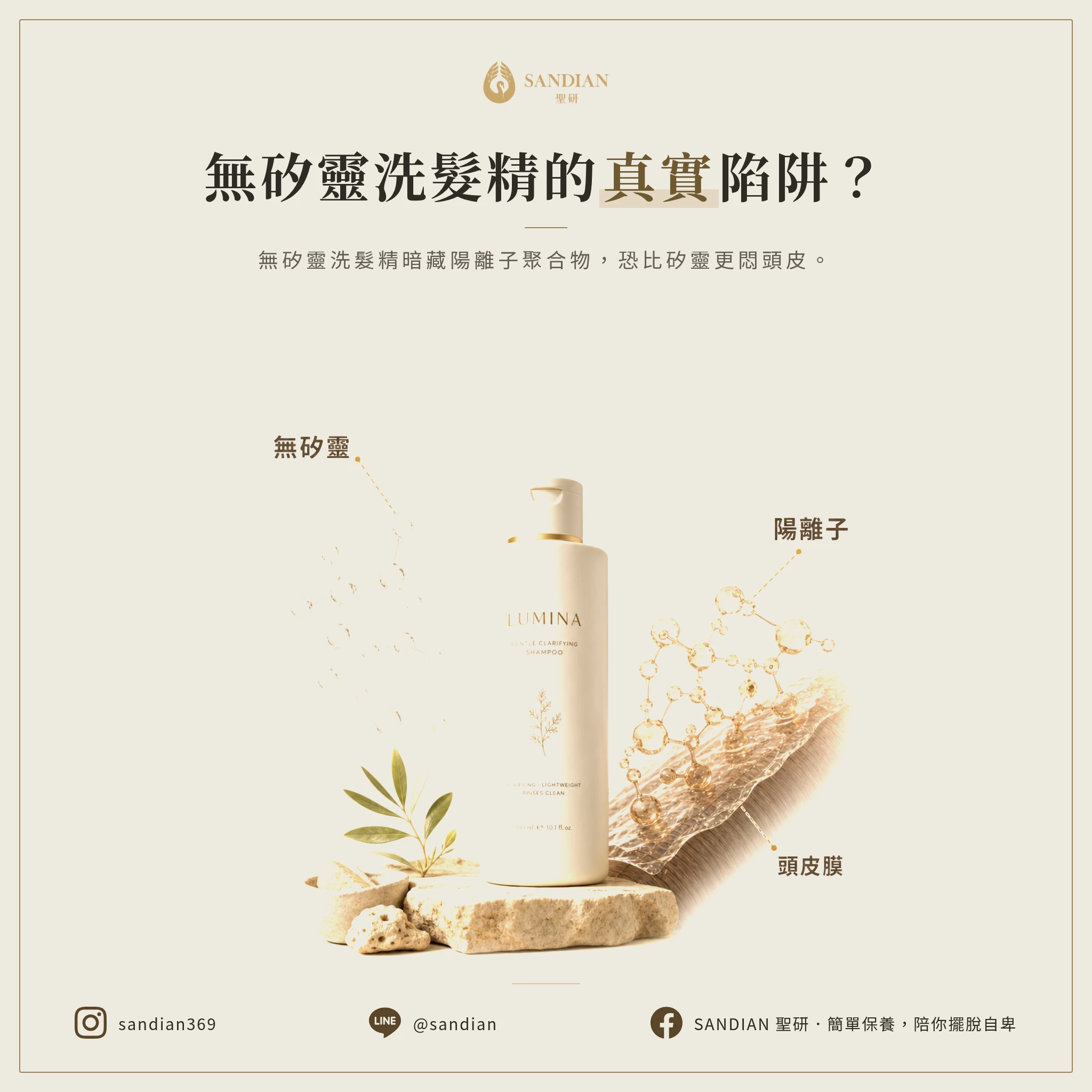 無矽靈洗髮精是行銷噱頭還是頭皮救星?