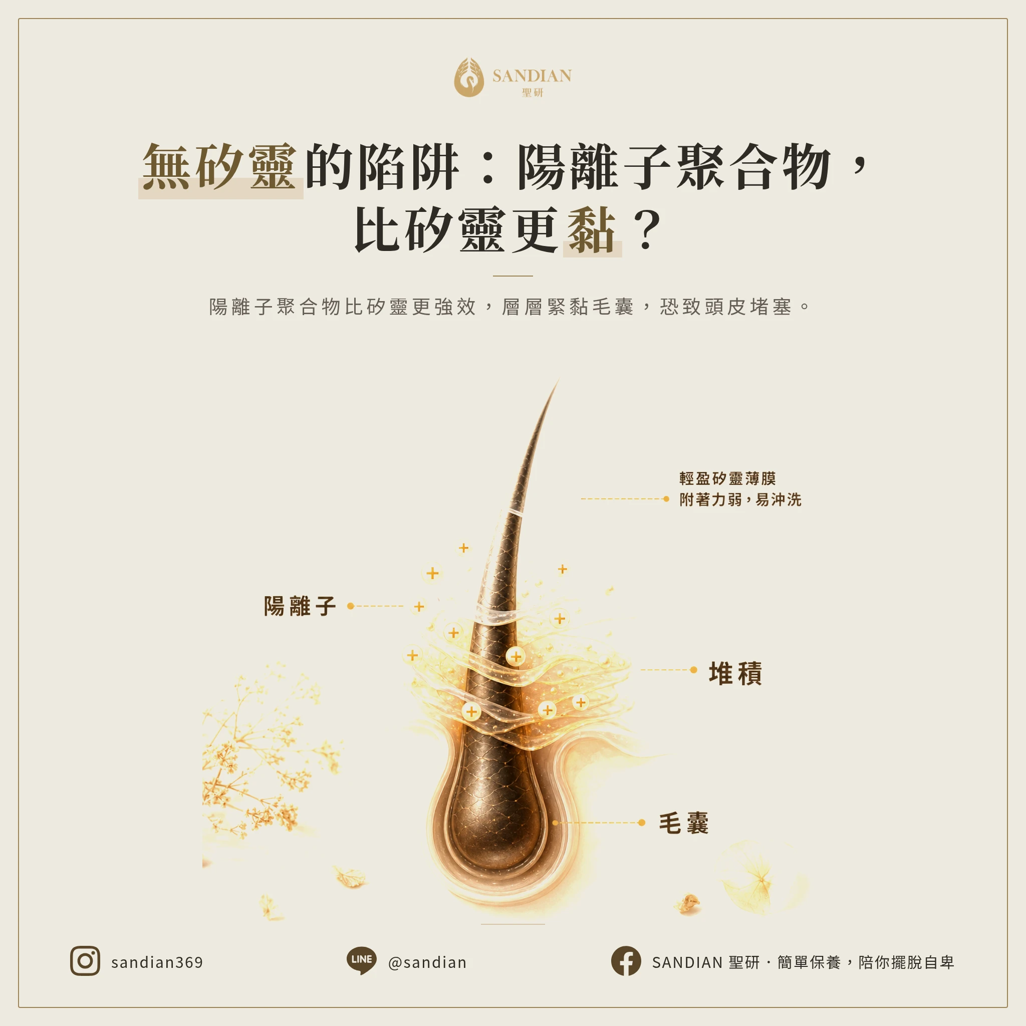 陽離子聚合物到底是什麼?為什麼比矽靈更可怕?