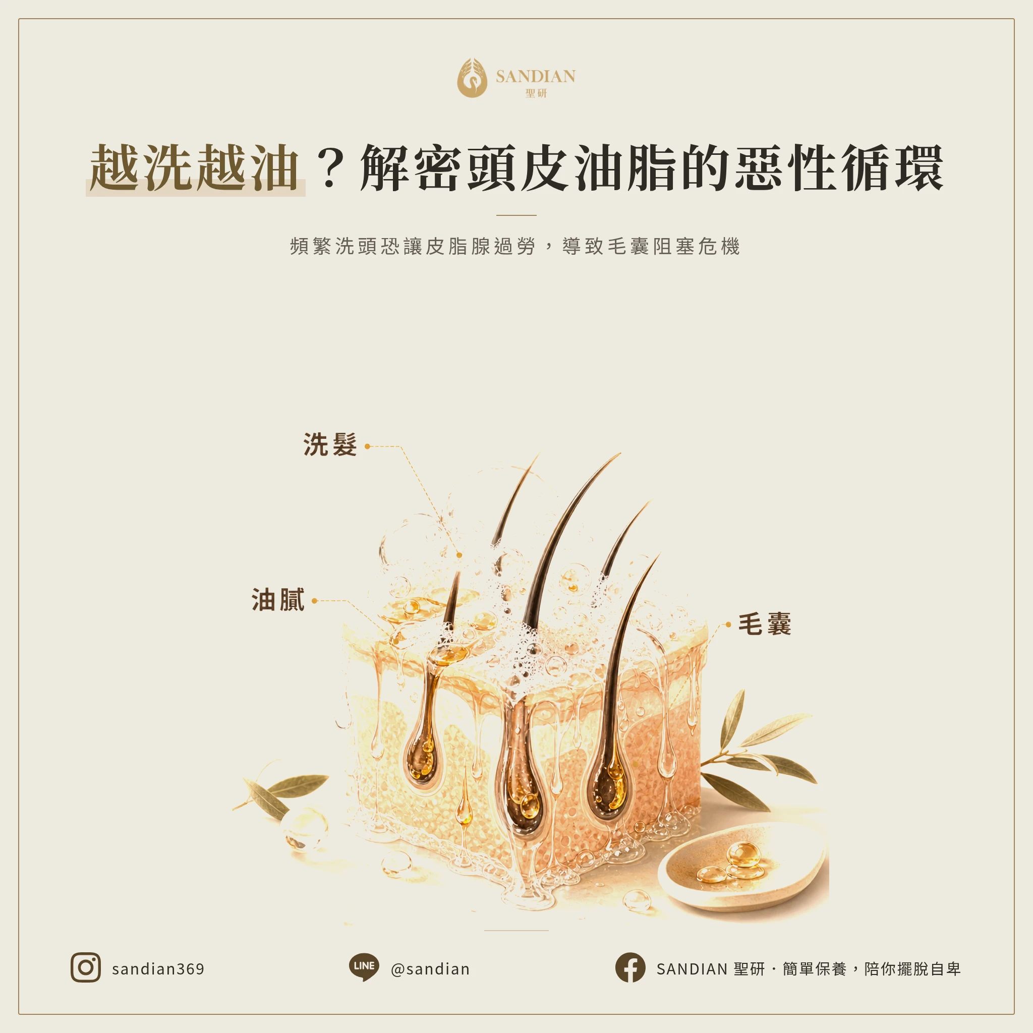 頻繁洗頭會怎樣?為什麼越洗越油?