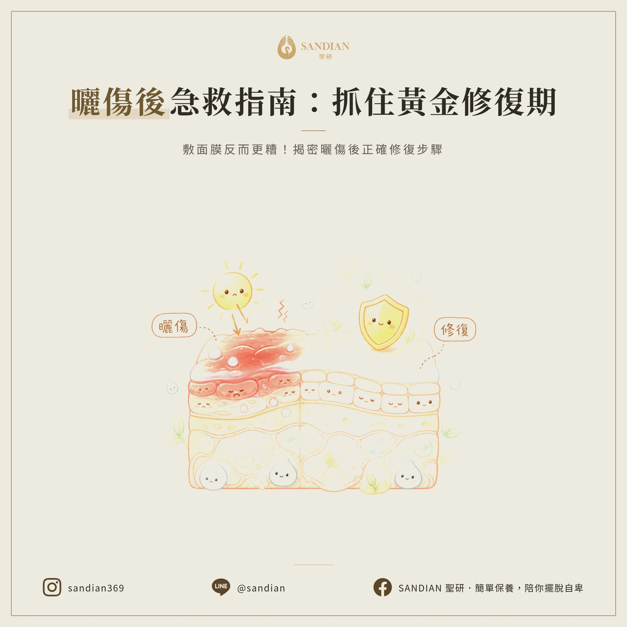 四、曬傷後的黃金修復期