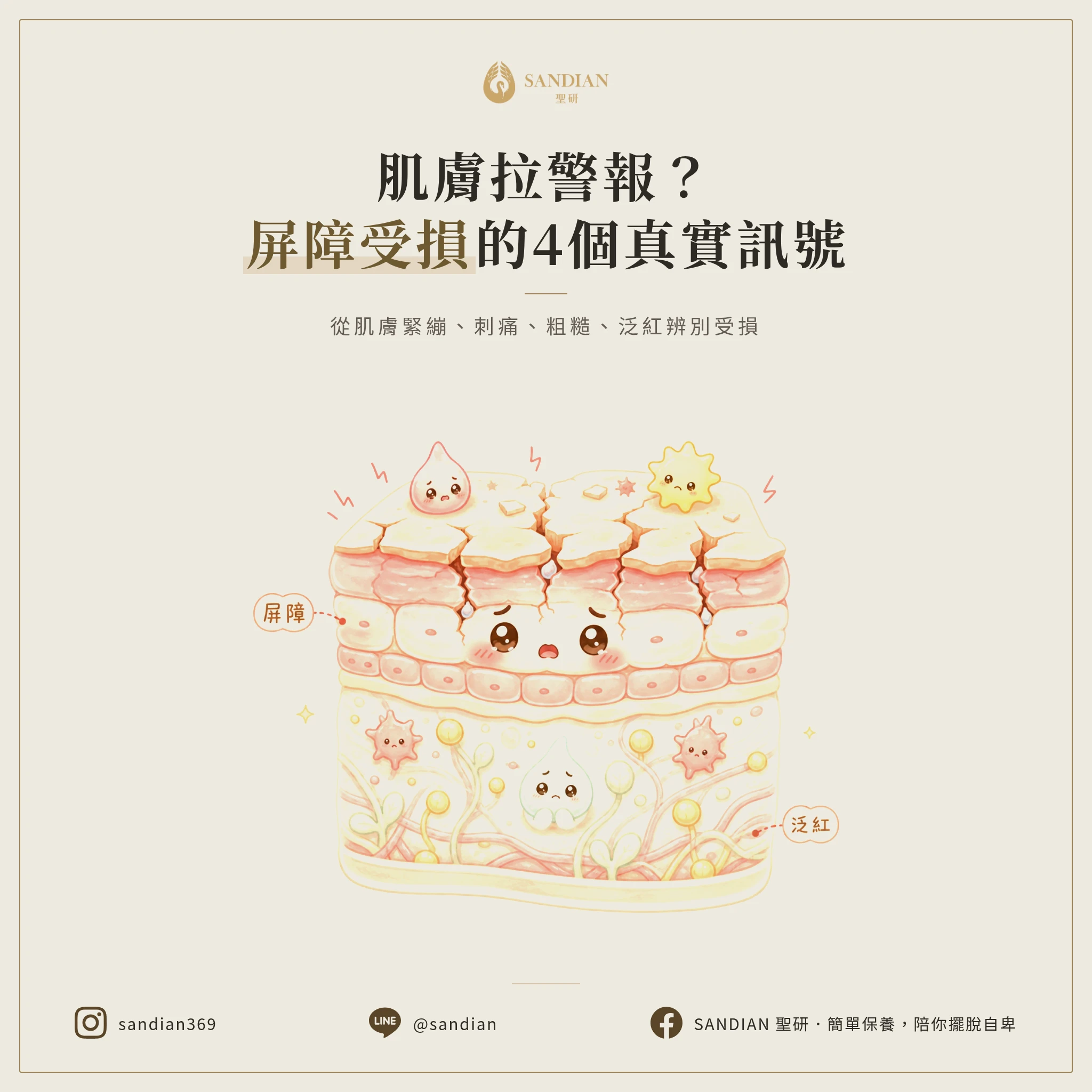 屏障受損的四個真實訊號是什麼?