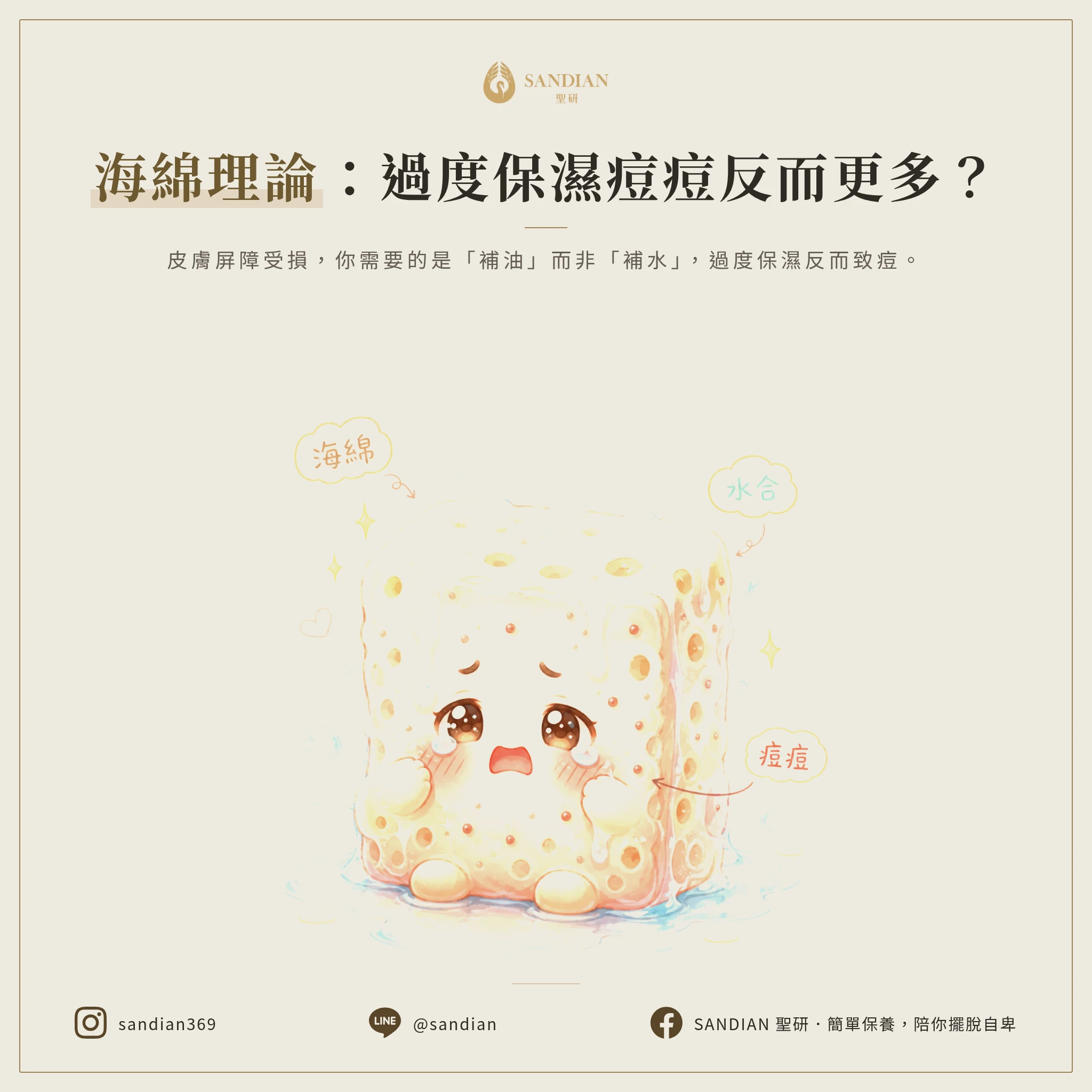 海綿理論:為什麼過度保濕會讓你長更多痘?