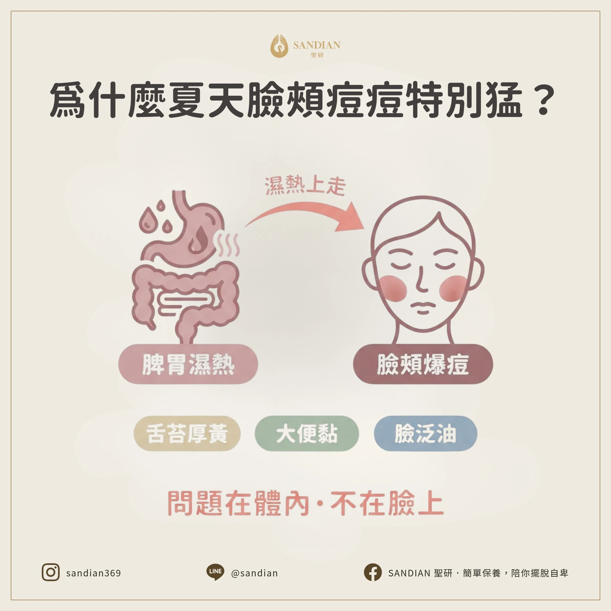 一、為什麼夏天臉頰痘痘特別猛?腸胃跟皮膚的連動機制