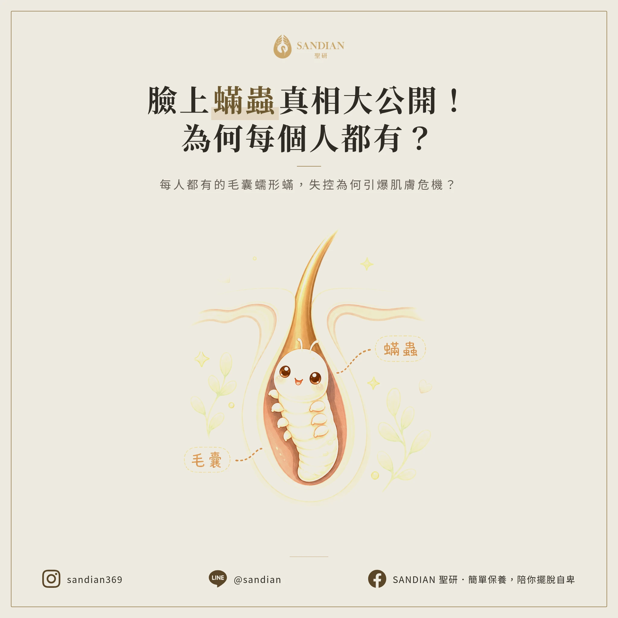 一、臉上的蟎蟲到底是什麼?為什麼每個人都有?