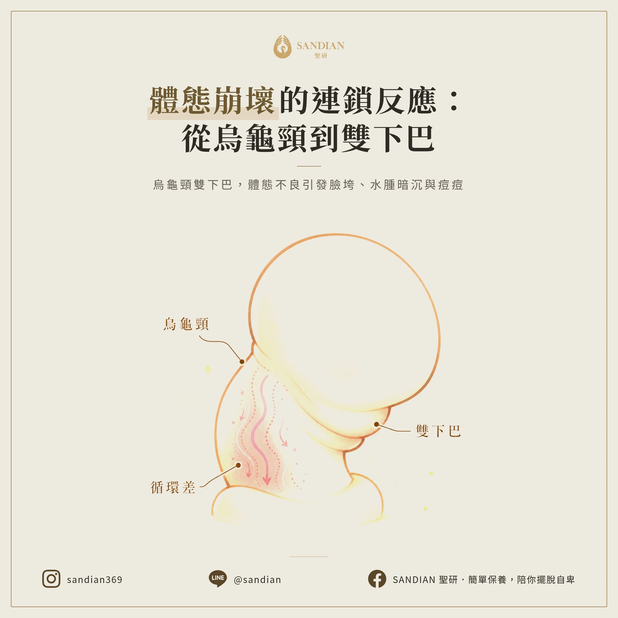 四、體態崩壞的連鎖反應是什麼?