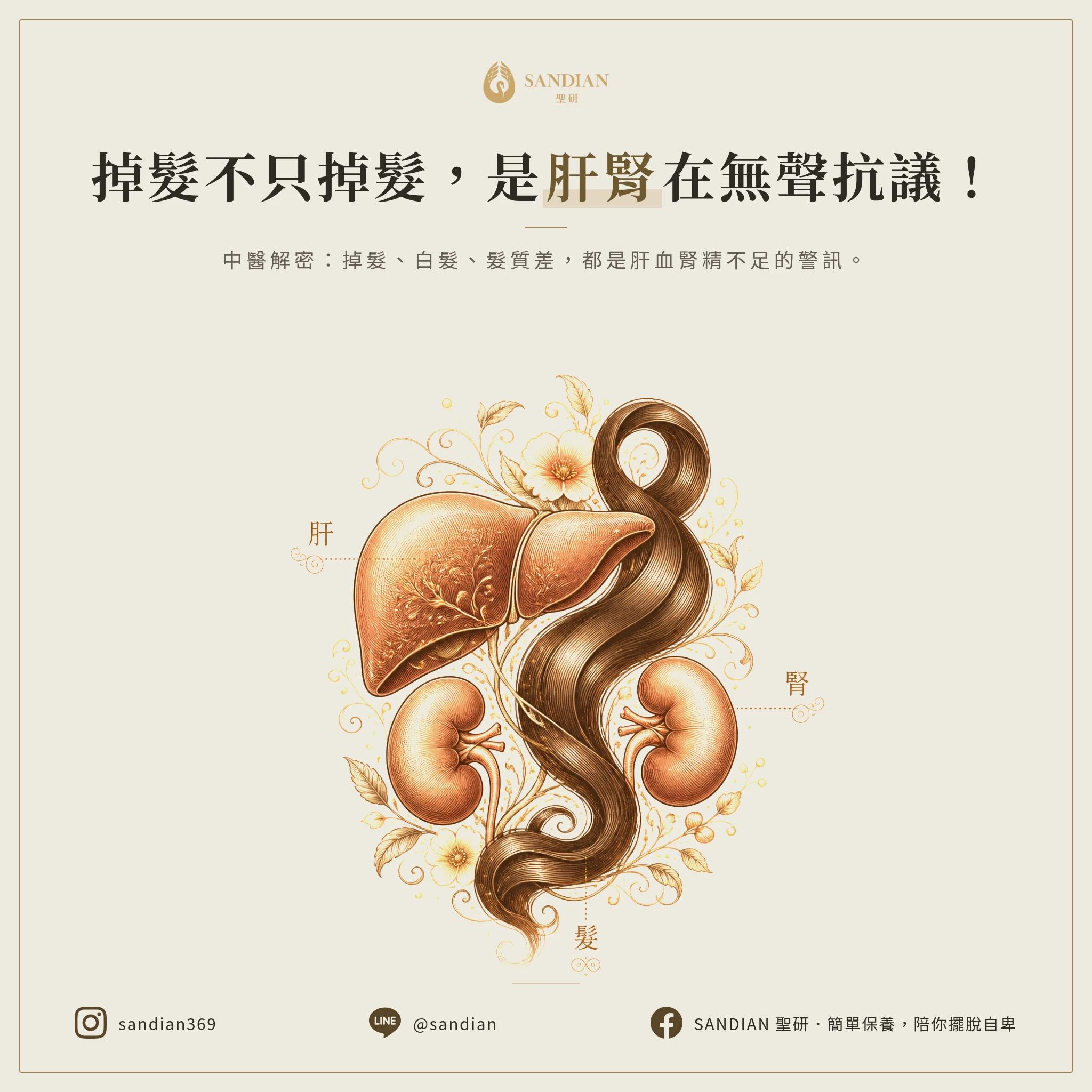 一、中醫為什麼說掉髮是肝腎在抗議?