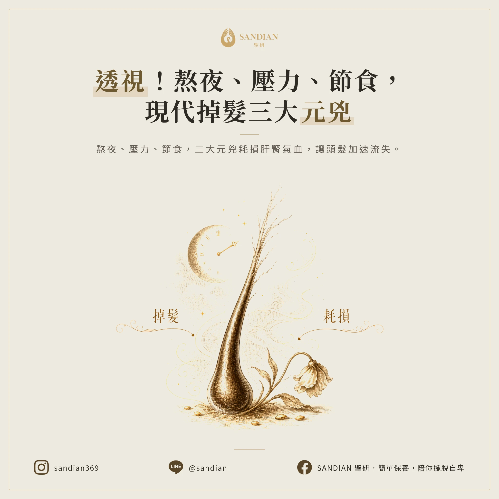 二、熬夜、壓力、節食:現代人掉髮的三大消耗根源
