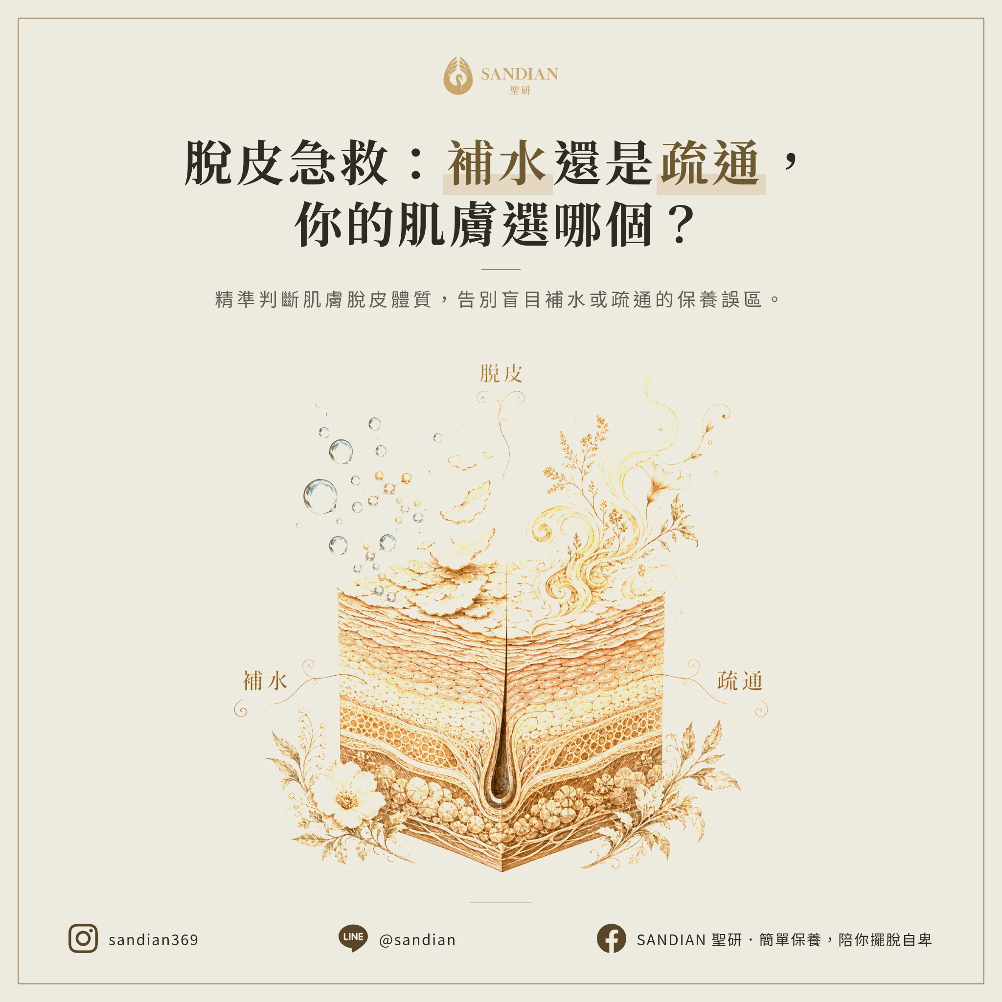 脫皮到底該補水還是該疏通?