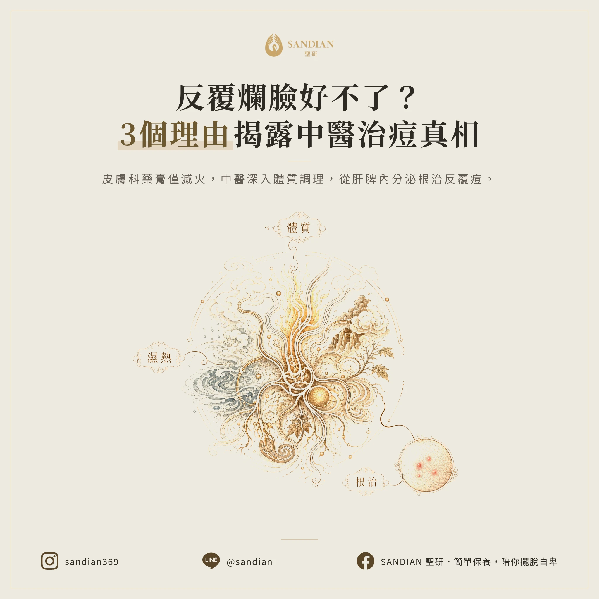3個理由告訴你,為什麼反覆長痘要看中醫不是皮膚科
