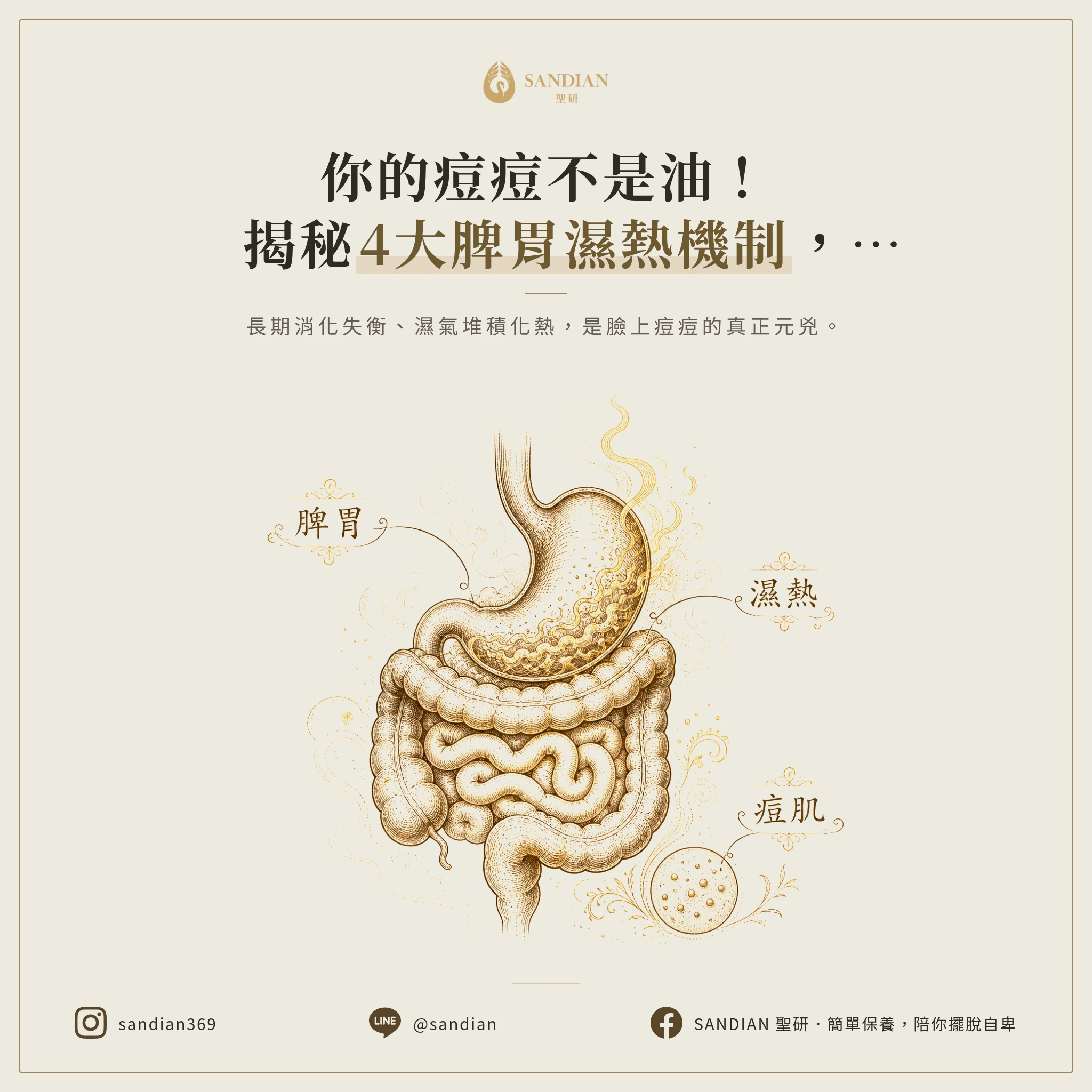 4個脾胃濕熱的形成機制,為什麼會讓你一直長痘