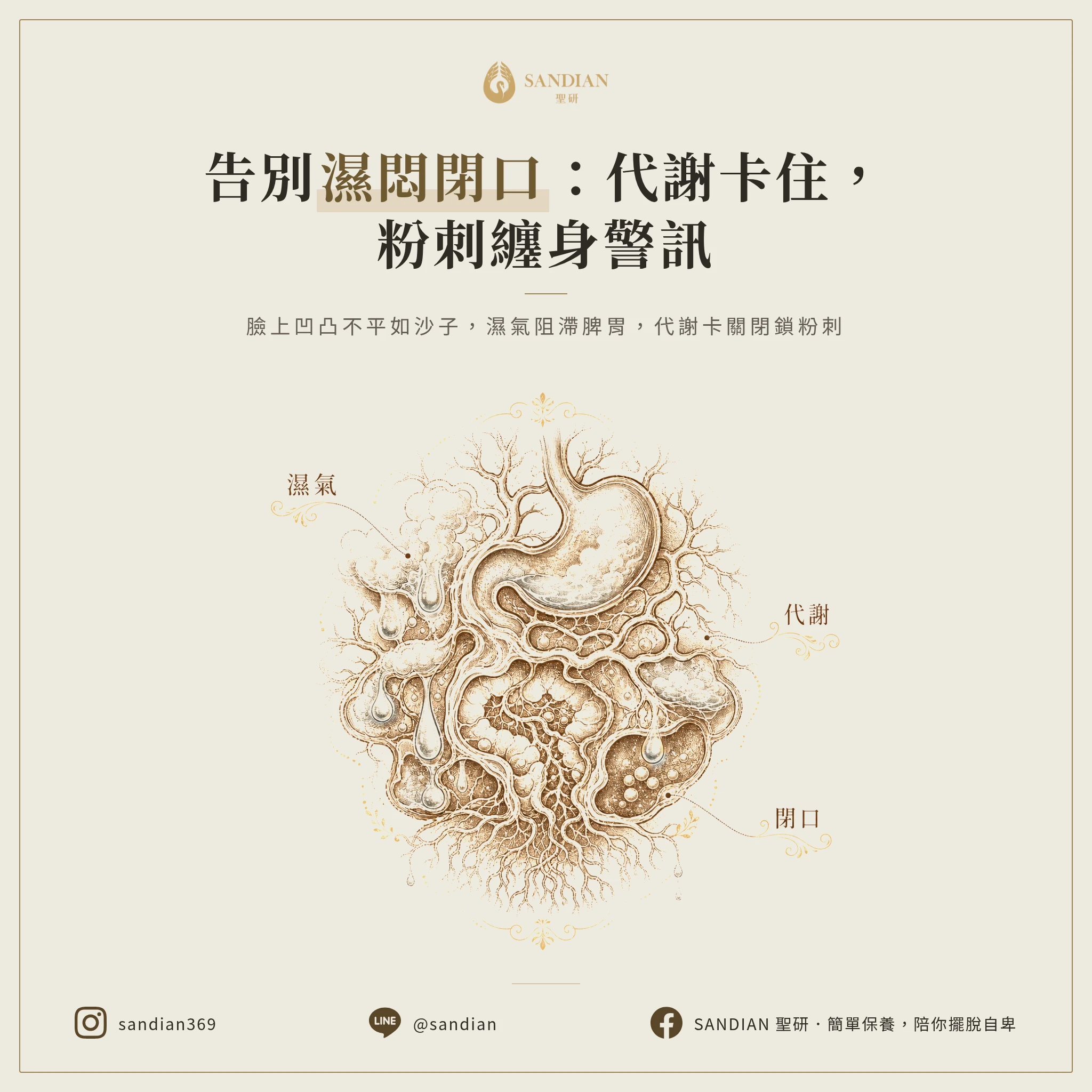 二、濕氣型痘痘:白頭粉刺閉口,代謝卡住的訊號