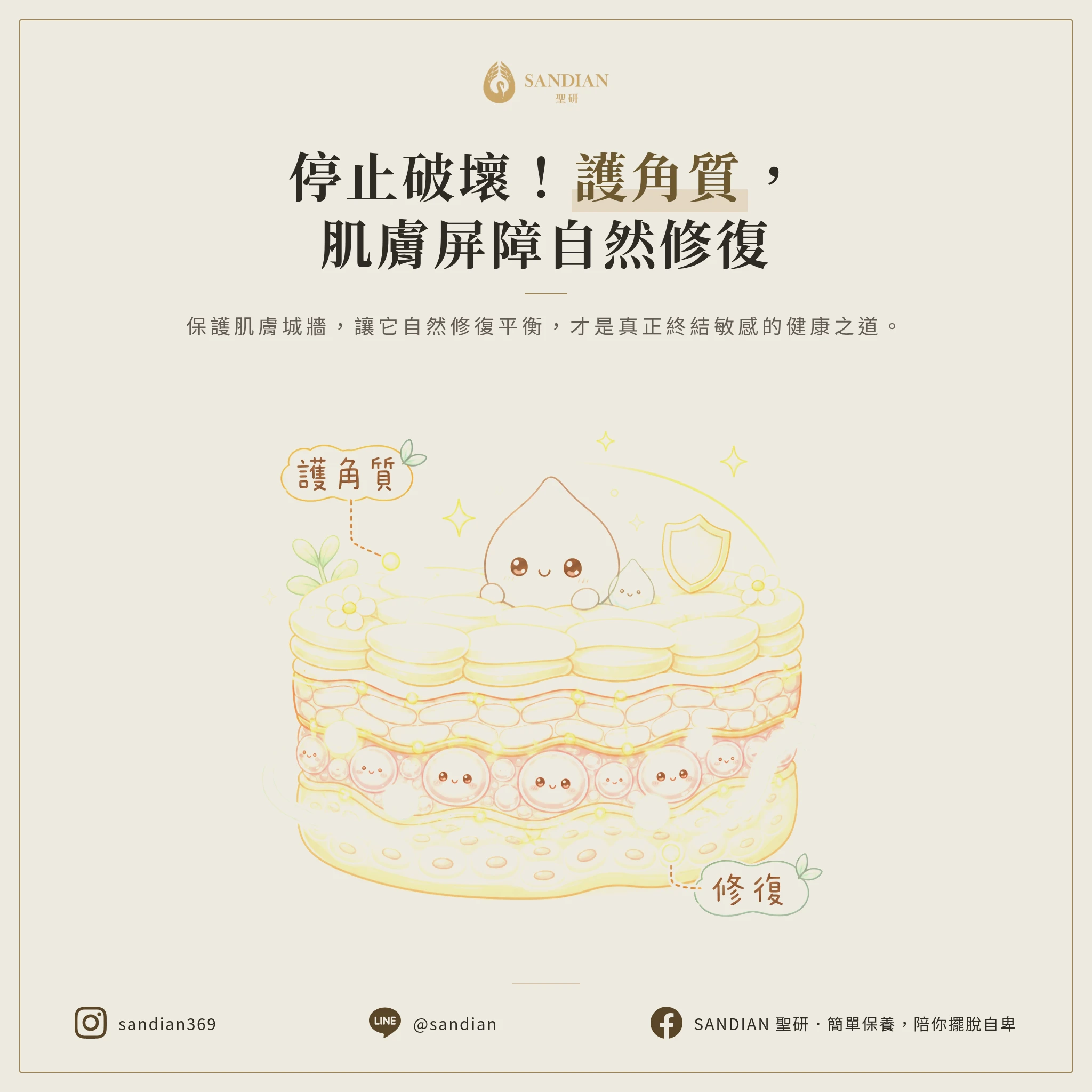 二、護角質才是正確方向,停止破壞就是最好的修復