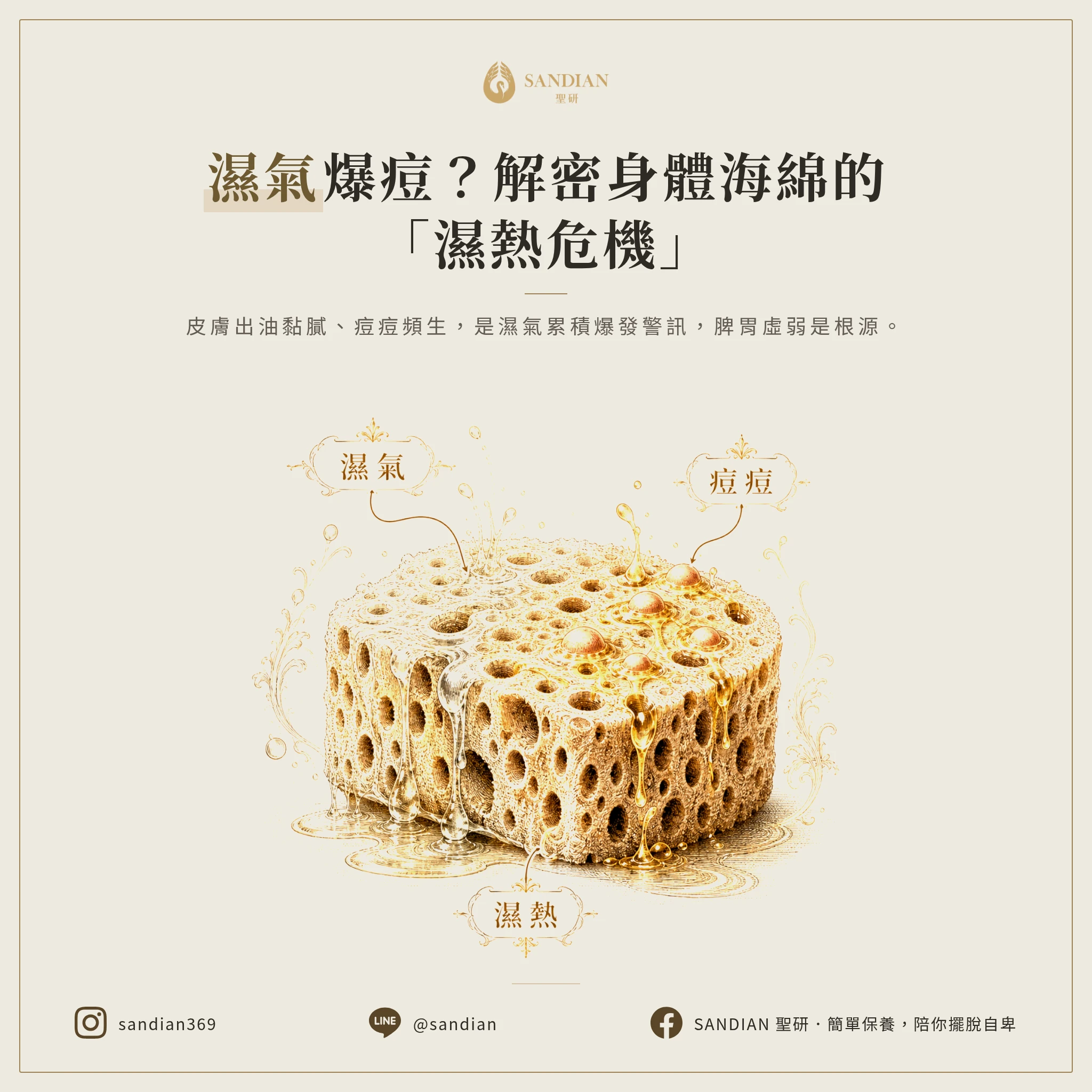 為什麼濕氣會讓你長痘痘?