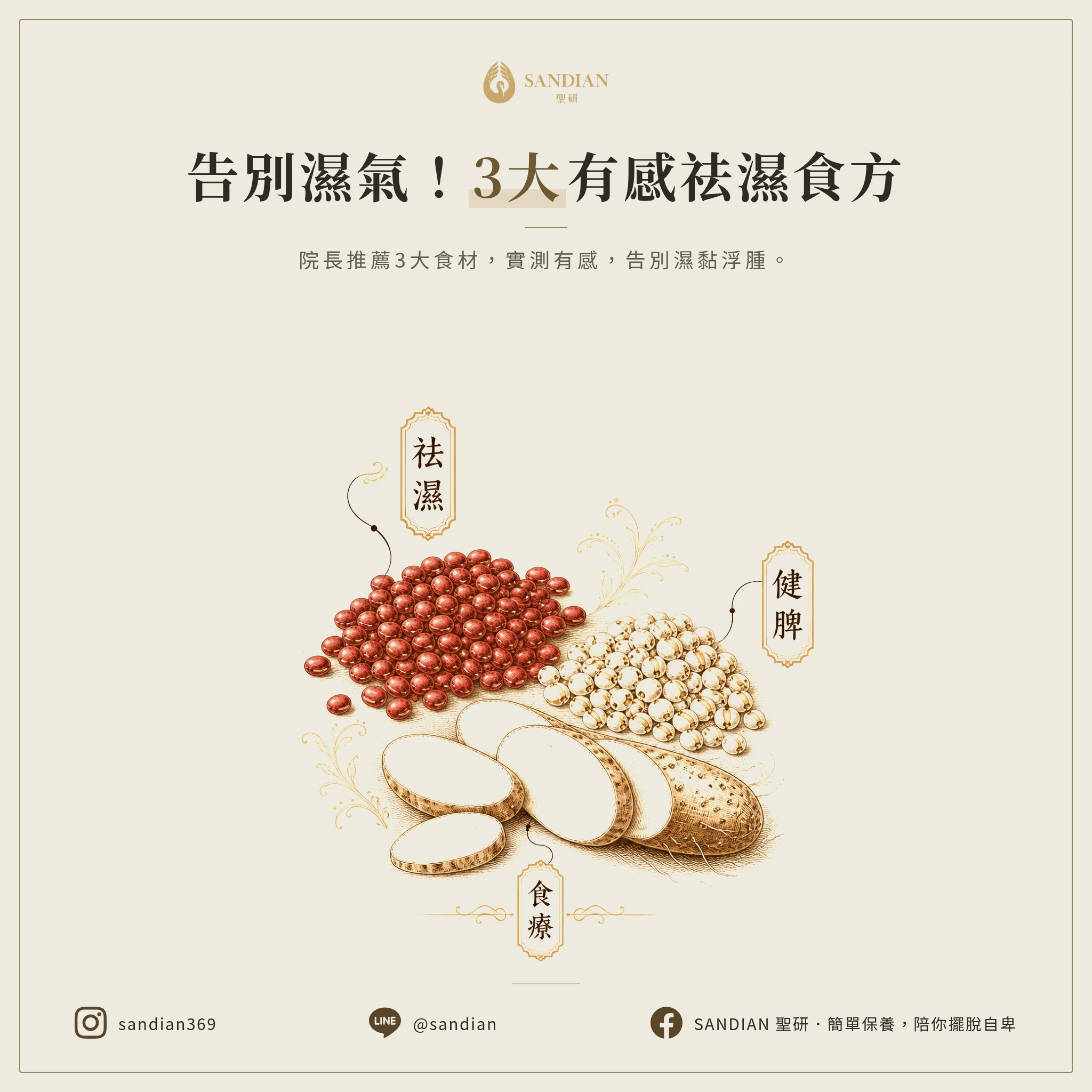 哪3種祛濕食療最有效?