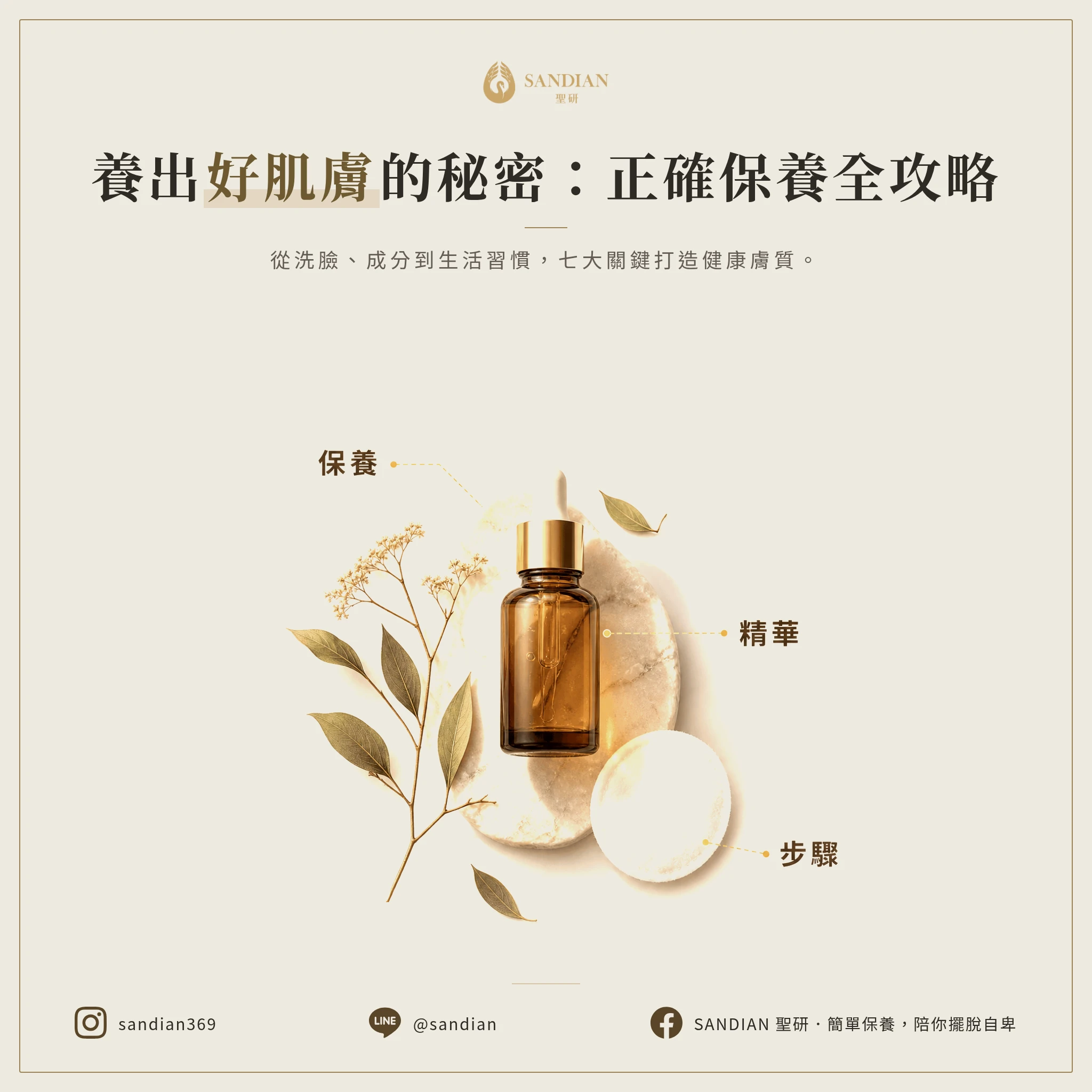 正確的保養順序該怎麼做？