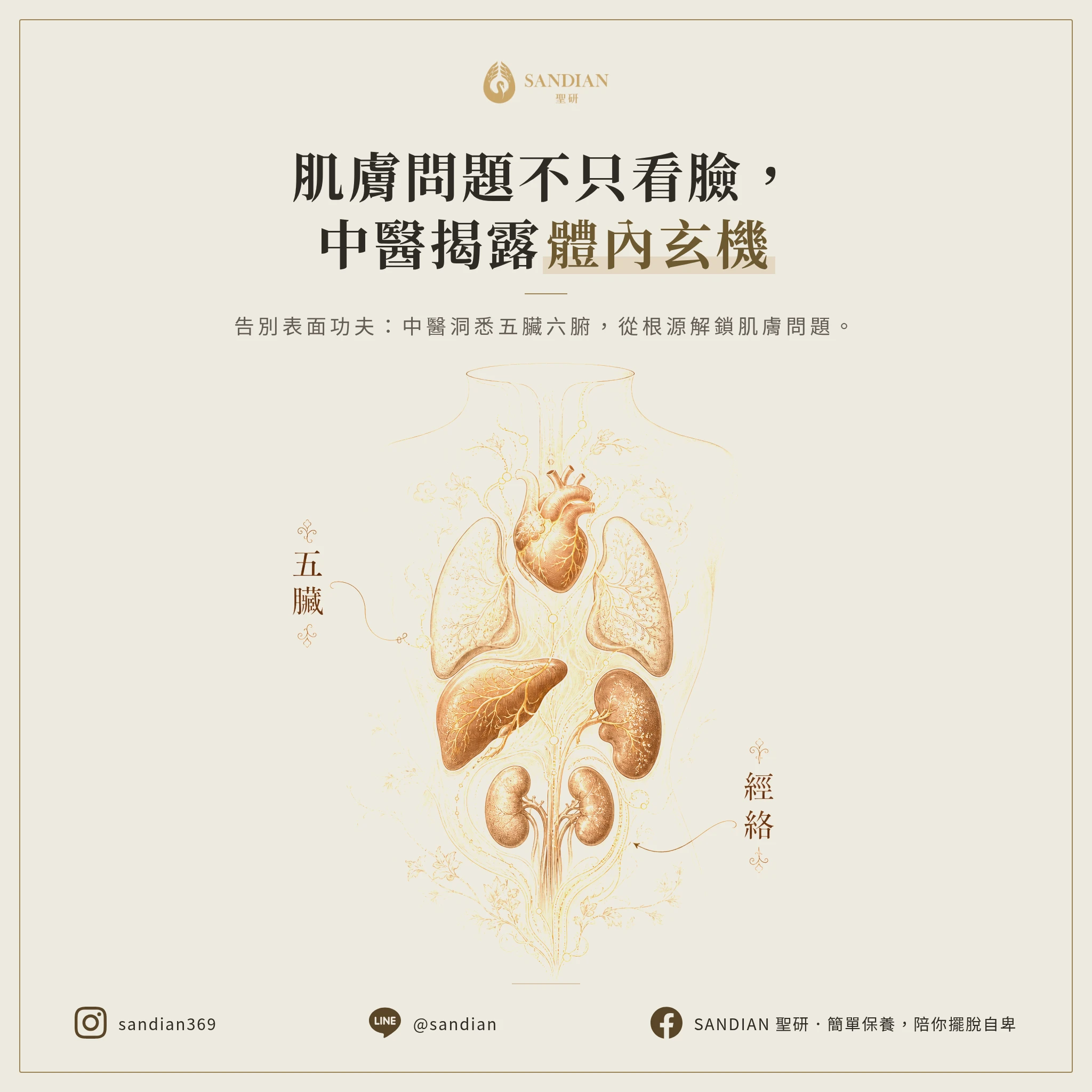 三、中醫看皮膚的邏輯，問題不在臉上在身體