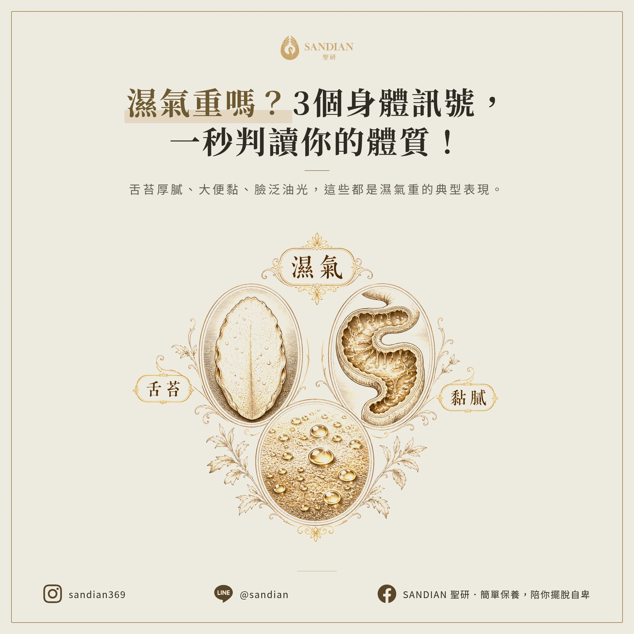 二、3個判斷自己是不是濕氣體質的關鍵訊號