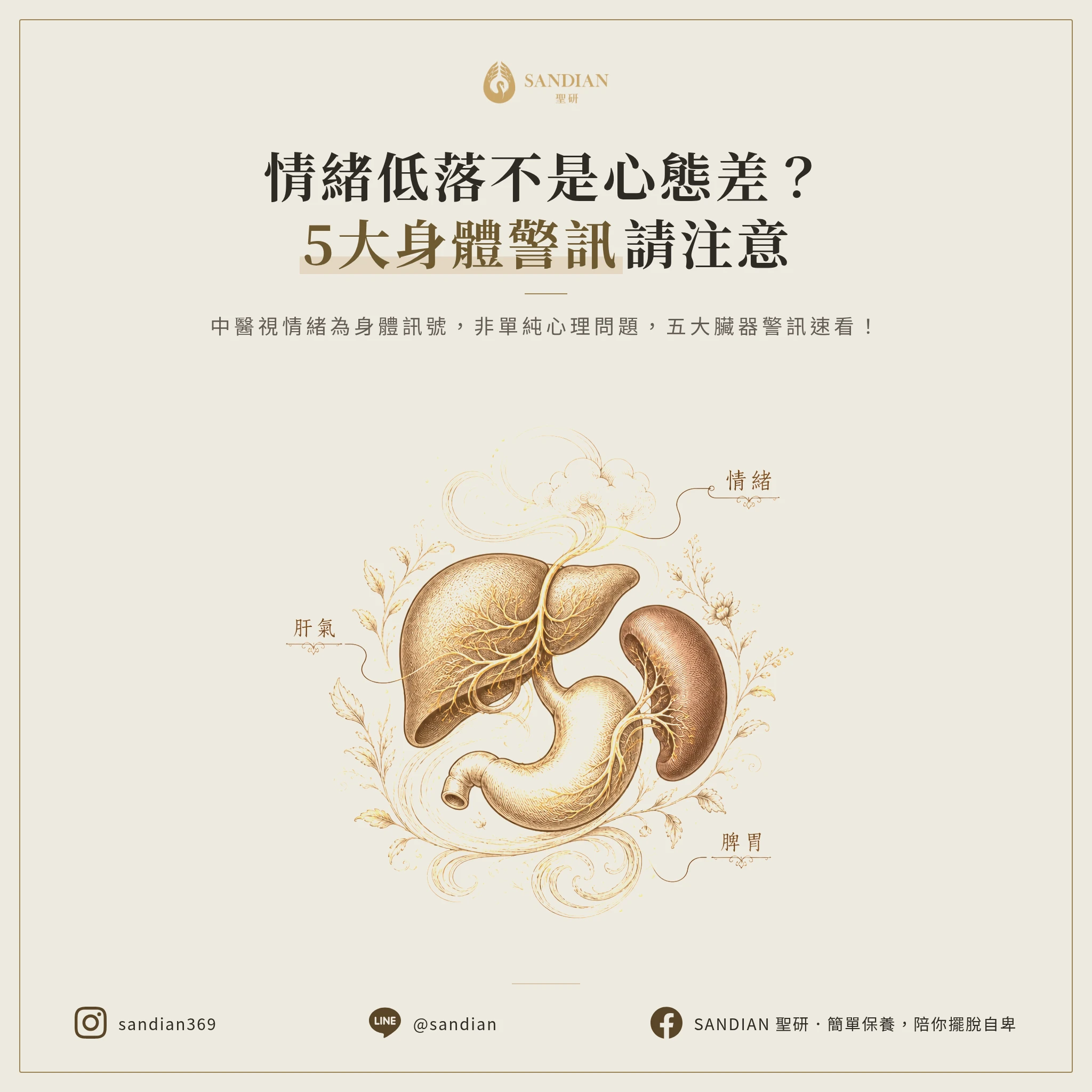 一、5 個身體警訊:你的情緒問題可能來自這些器官