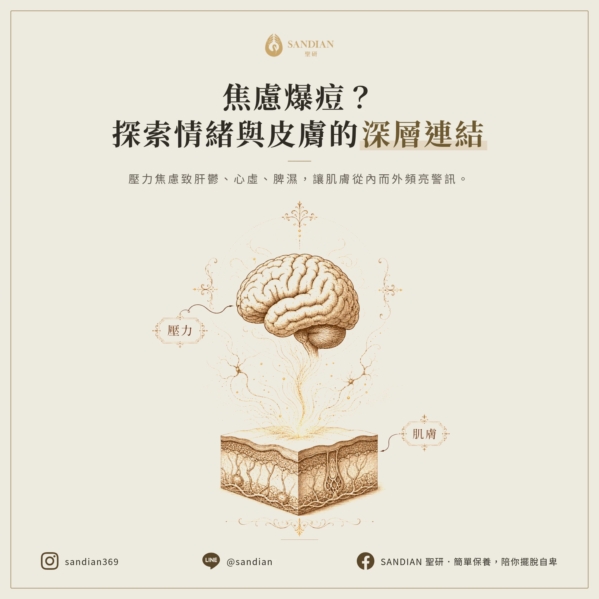 四、情緒與皮膚的連動關係:為什麼壓力大就爆痘