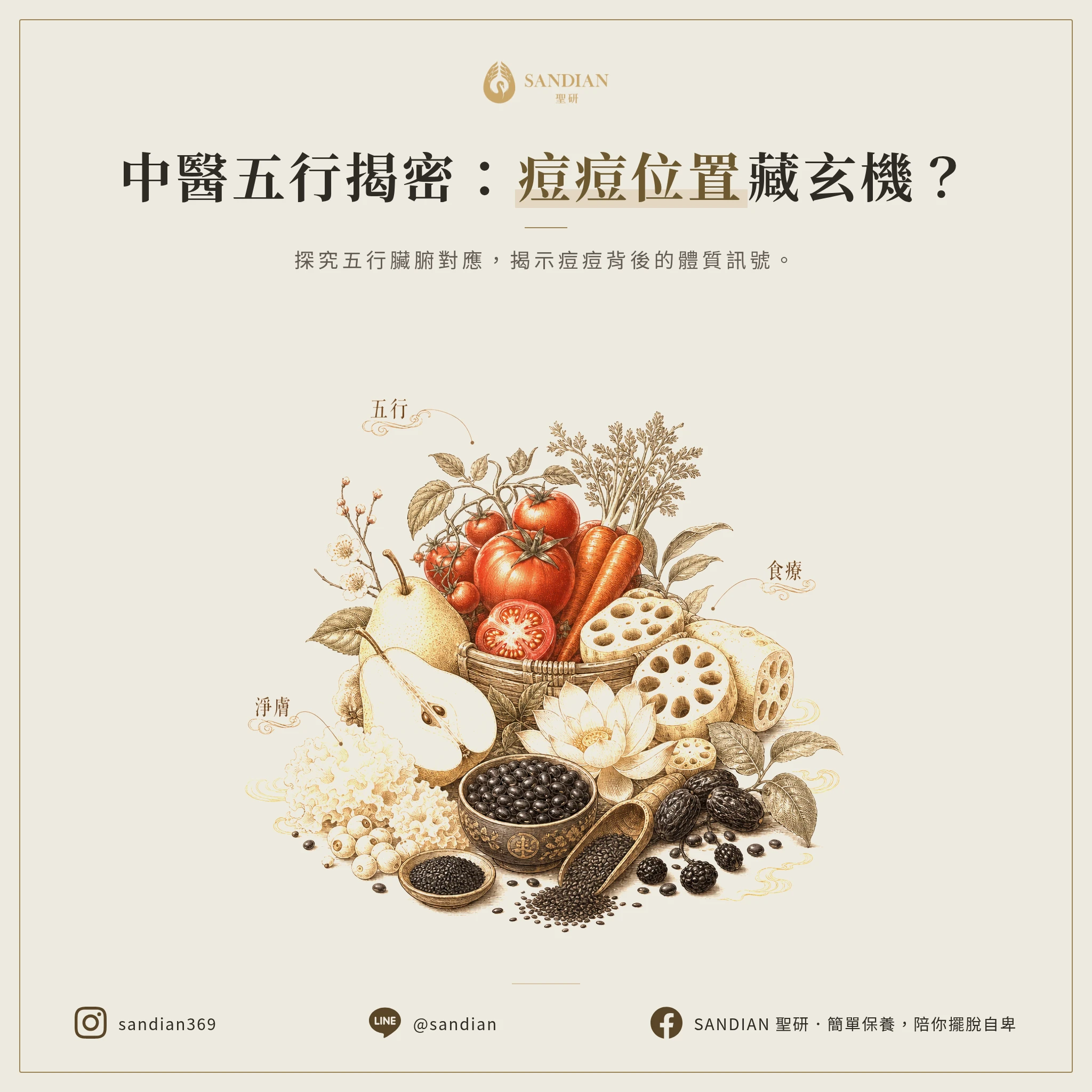 二、中醫五行跟痘痘到底有什麼關聯?