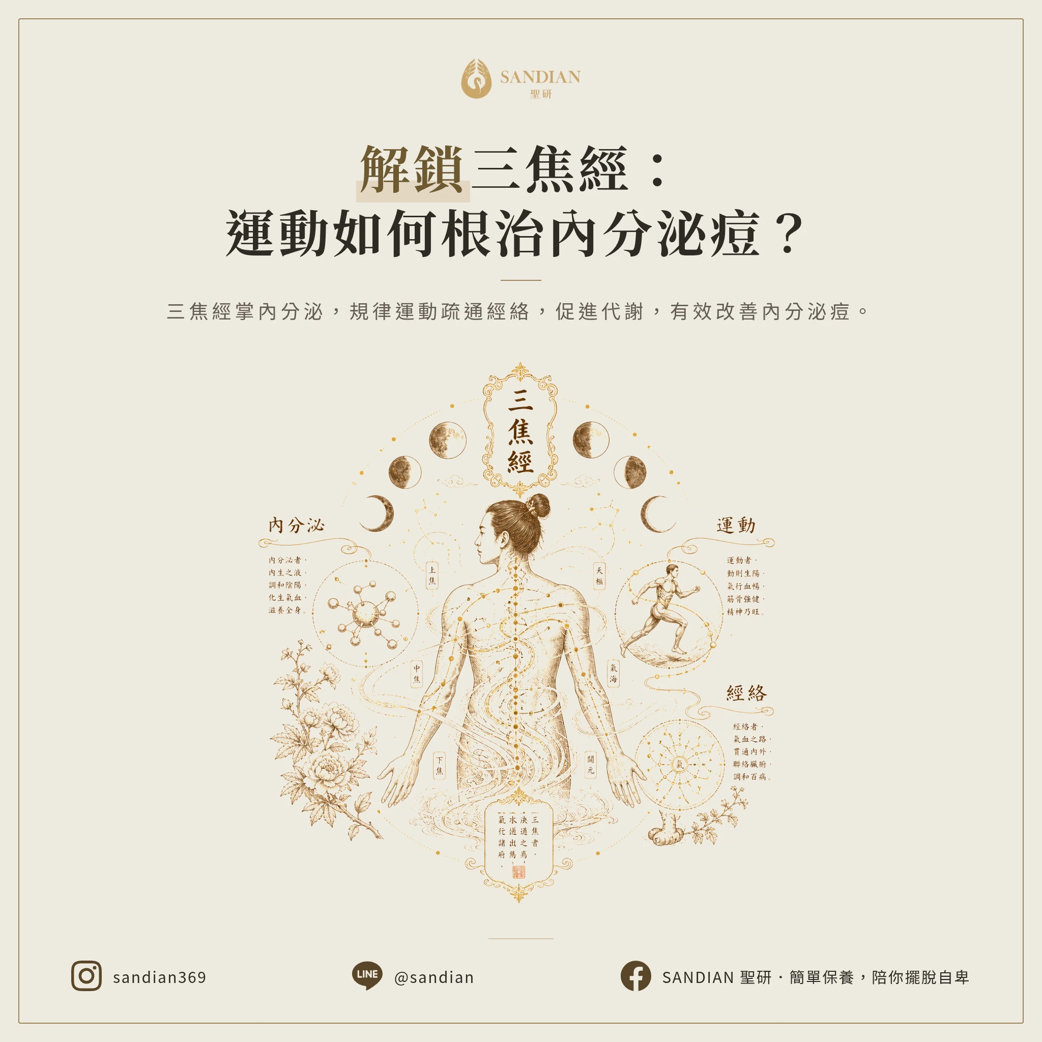 三、三焦經是什麼?為什麼運動能改善內分泌痘?
