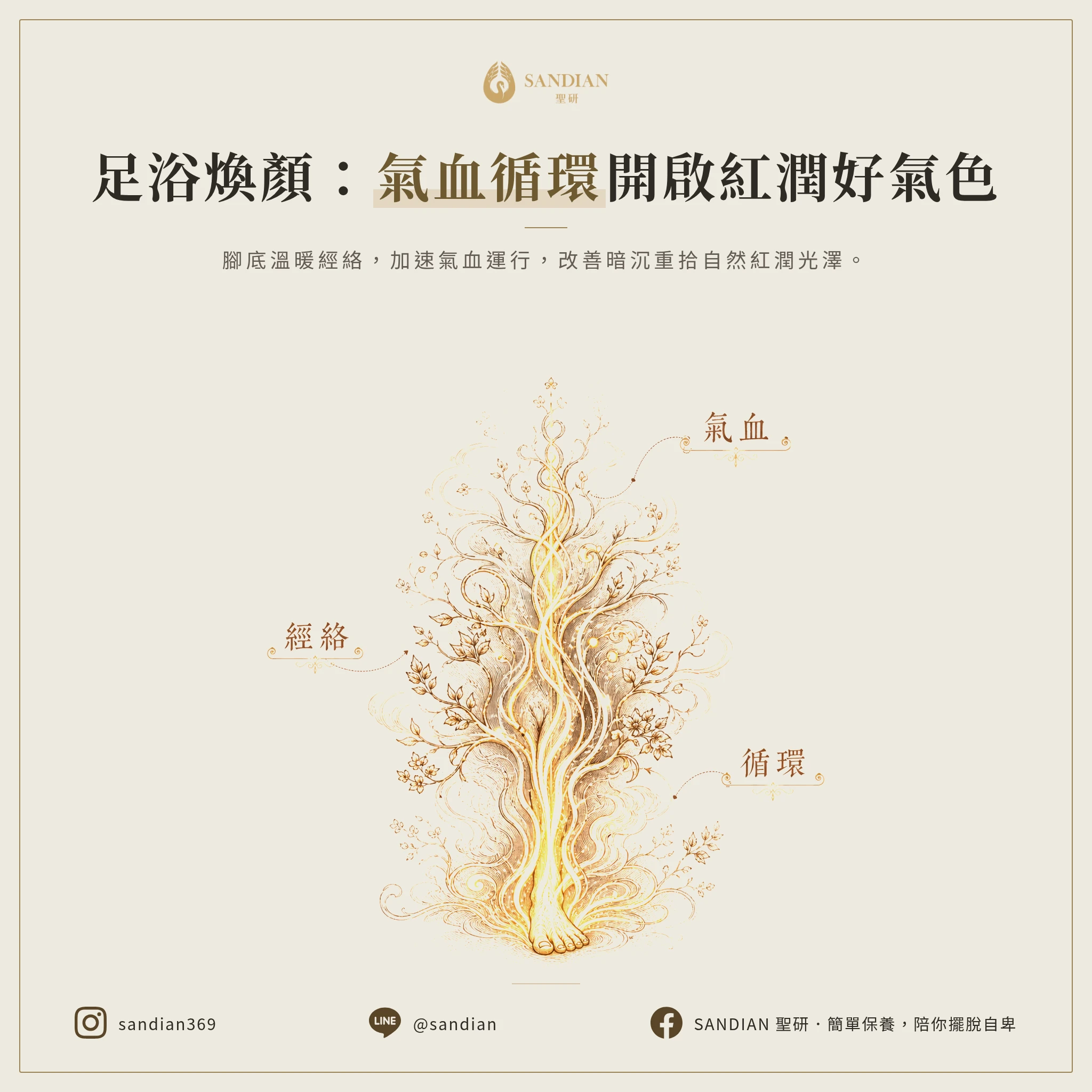 一、為什麼泡腳能讓氣色變好？中醫的循環邏輯在這裡