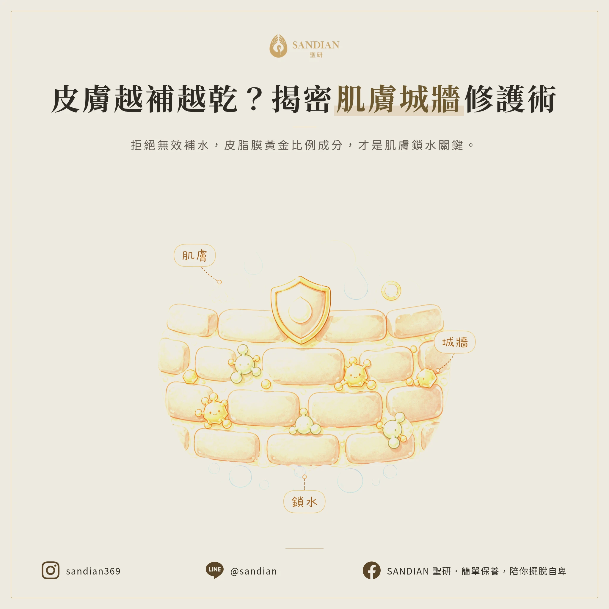 三、皮膚真正需要的是什麼?城牆理論完整解析