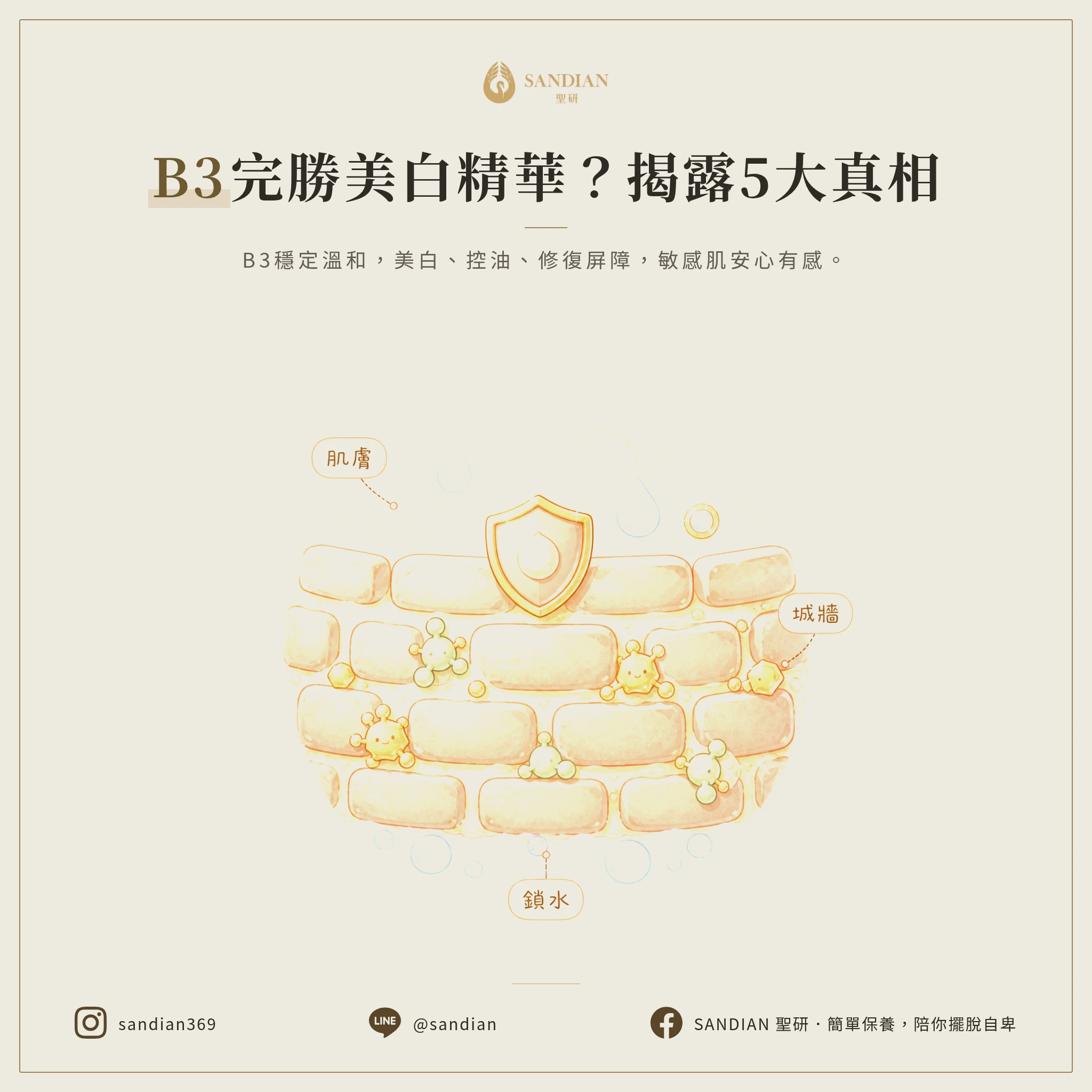 二、維生素B3為什麼比美白精華更有用?5 大真相