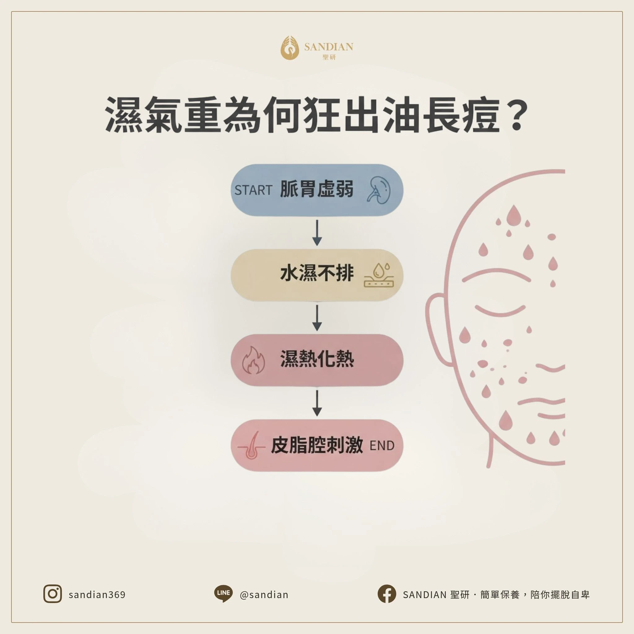 二、為什麼濕氣重會讓你狂出油長痘痘？