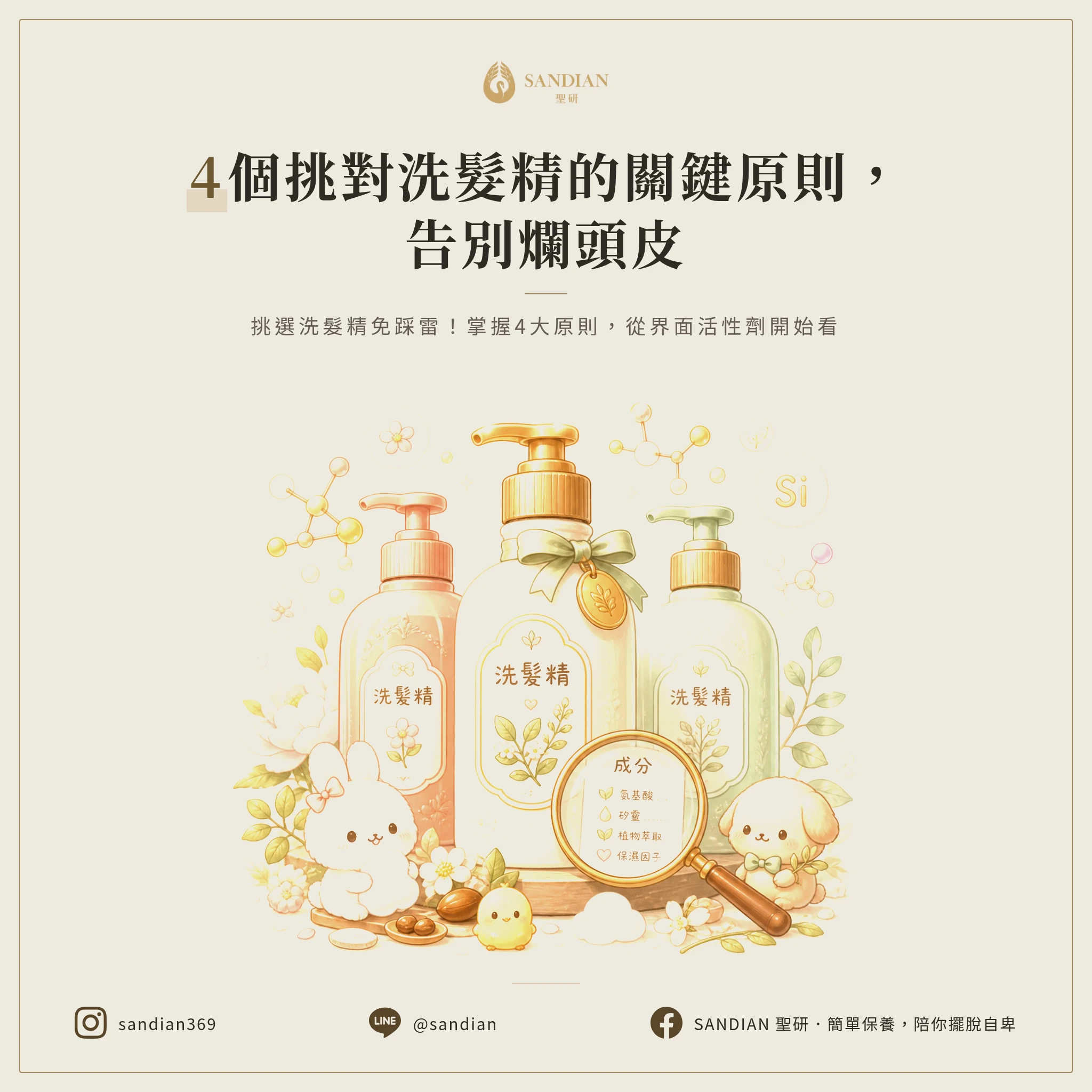 二、4 個挑對洗髮精的關鍵原則