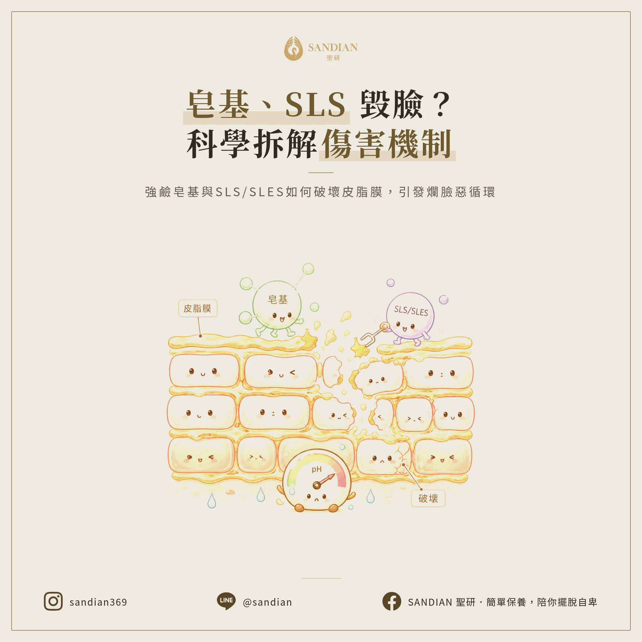 二、皂基、SLS、SLES 怎麼毀你的臉?科學機制拆解