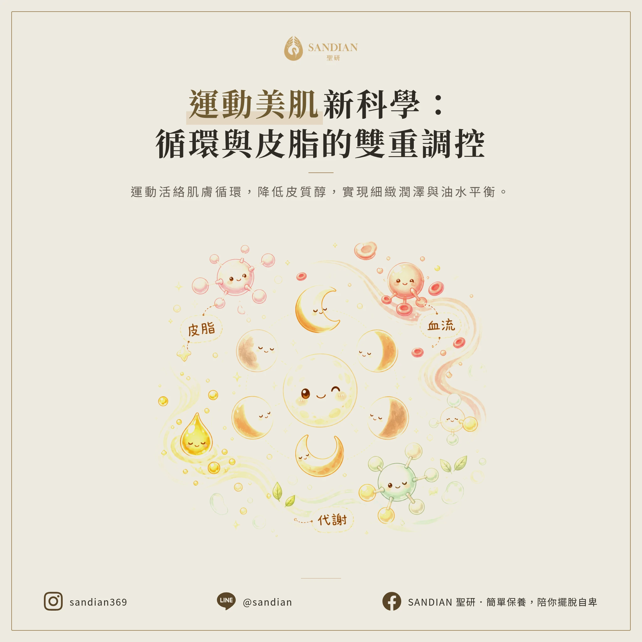 一、運動為什麼能改善膚況?血液循環跟皮脂分泌的科學機制