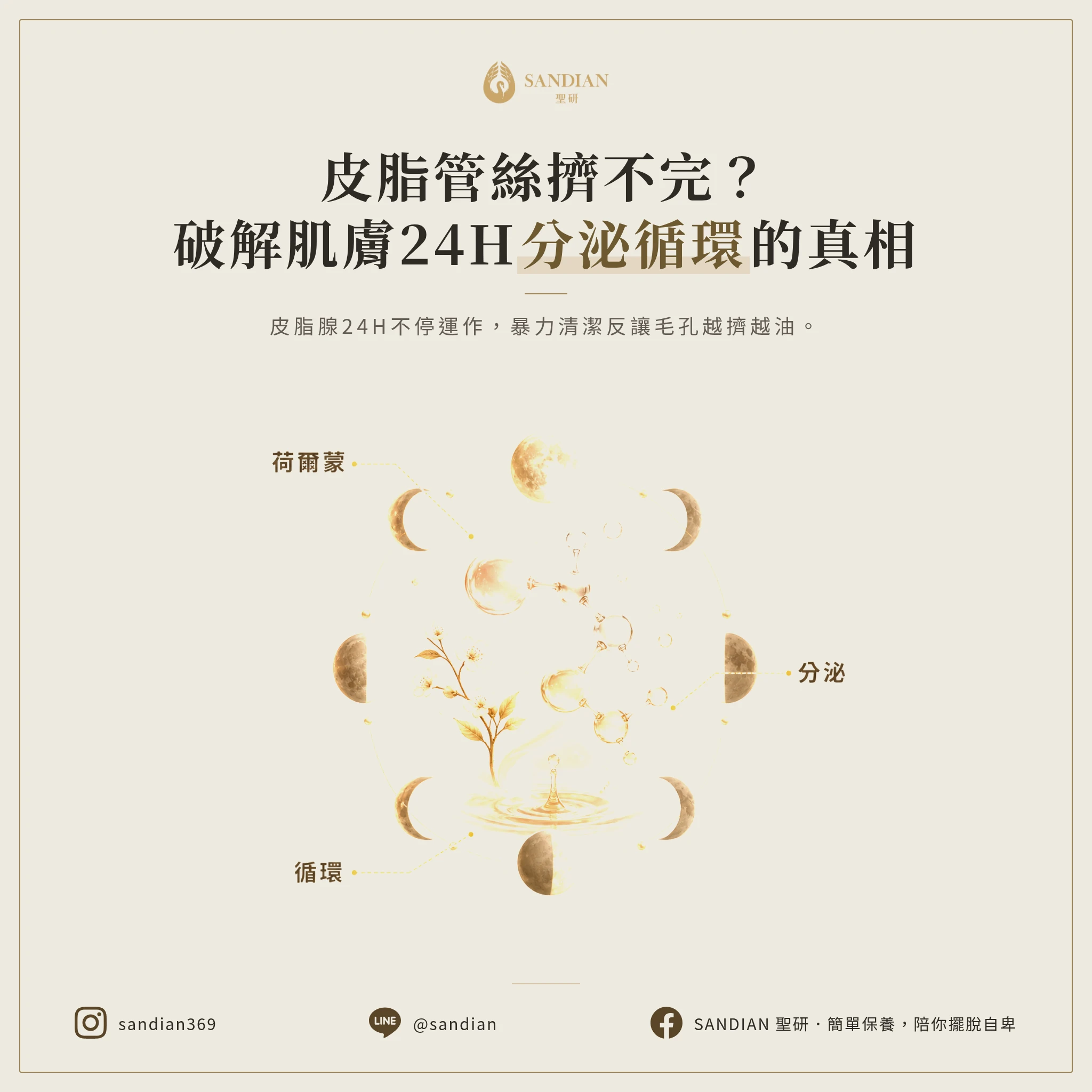 為什麼皮脂管絲總是擠不完?破解24小時分泌循環