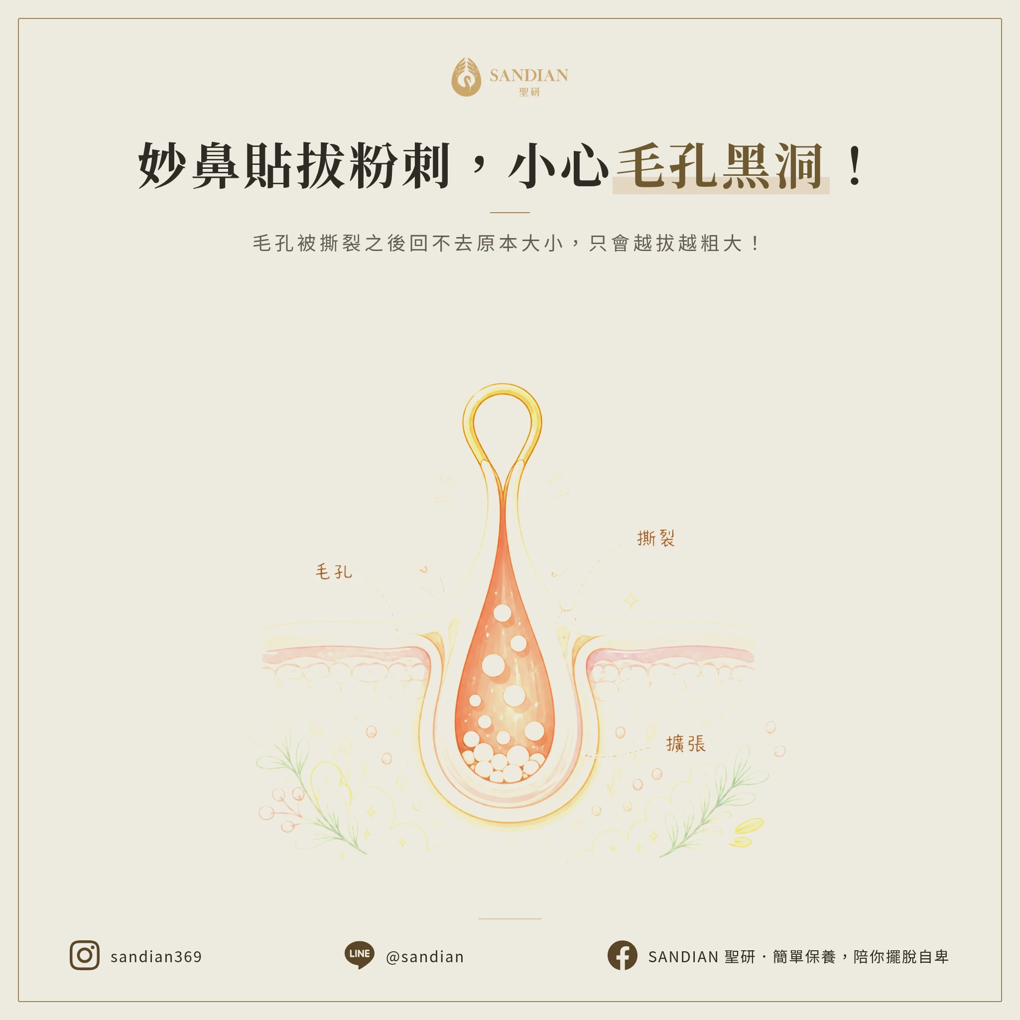 妙鼻貼為什麼會讓你的毛孔越撕越大?