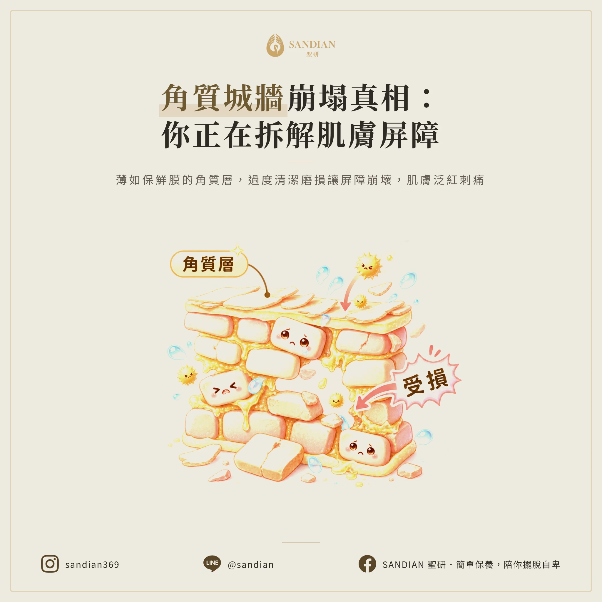 一、角質層受損的真相:你在拆自己的城牆