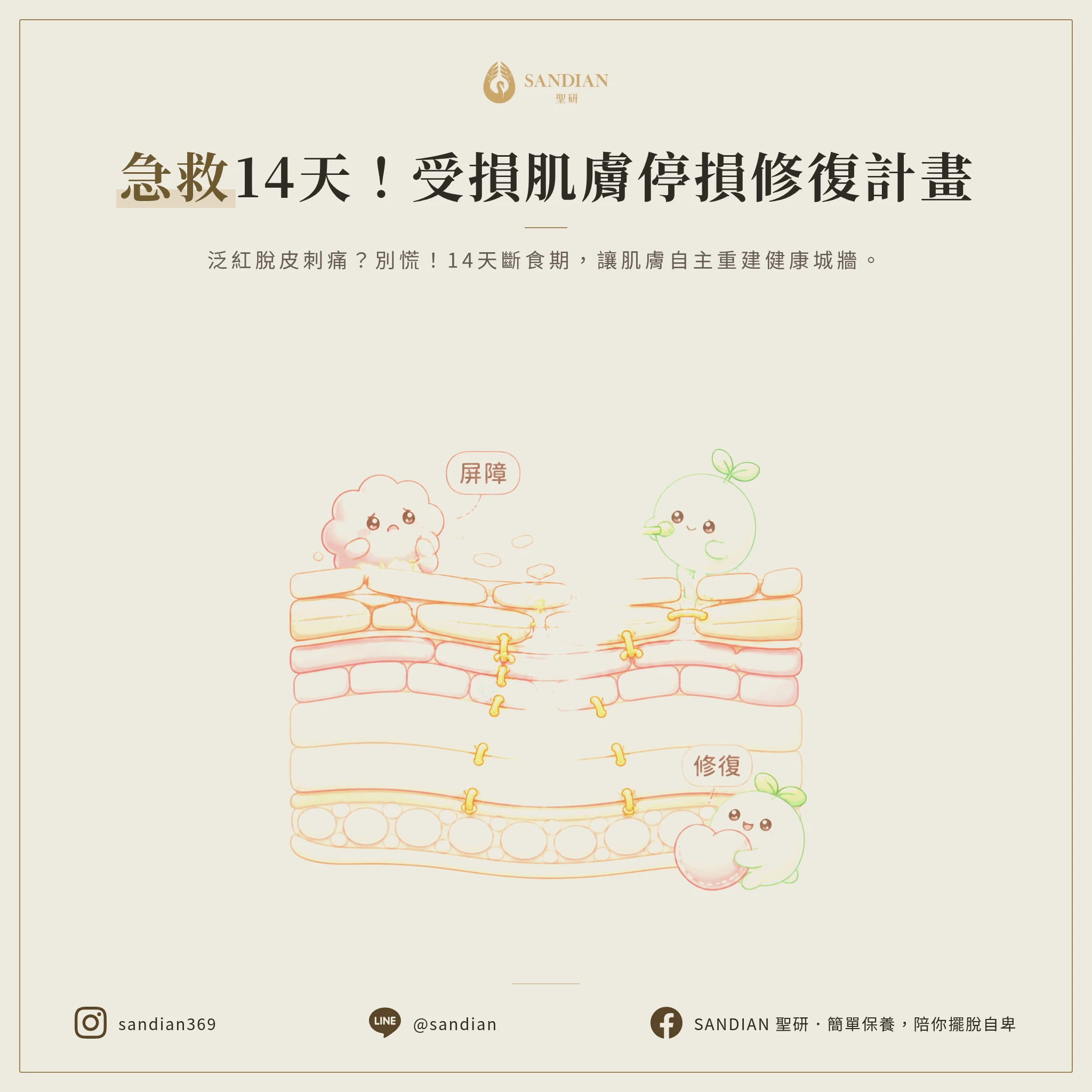 三、14天修復計畫:停損期要做什麼