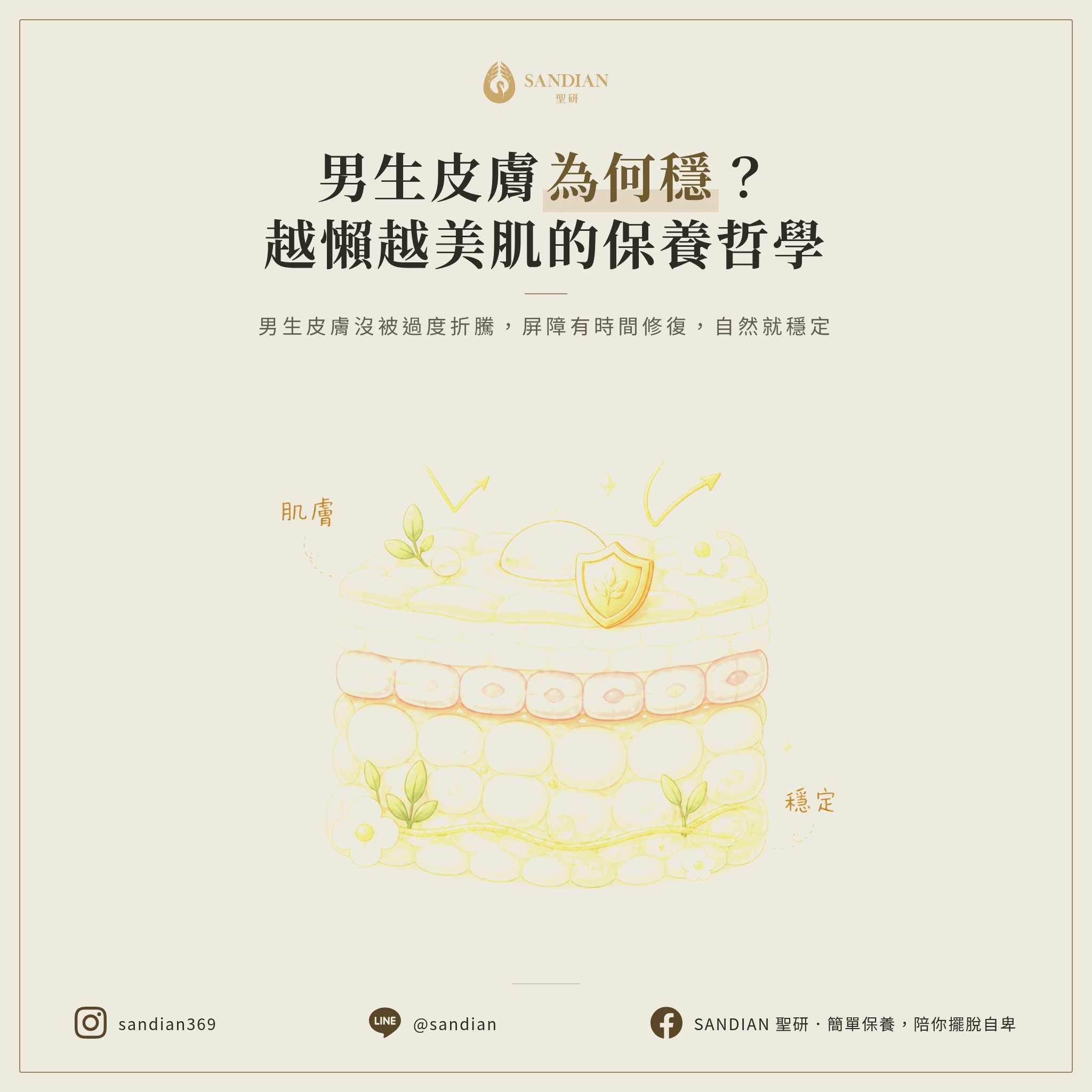 四、男生皮膚為什麼比較穩定?